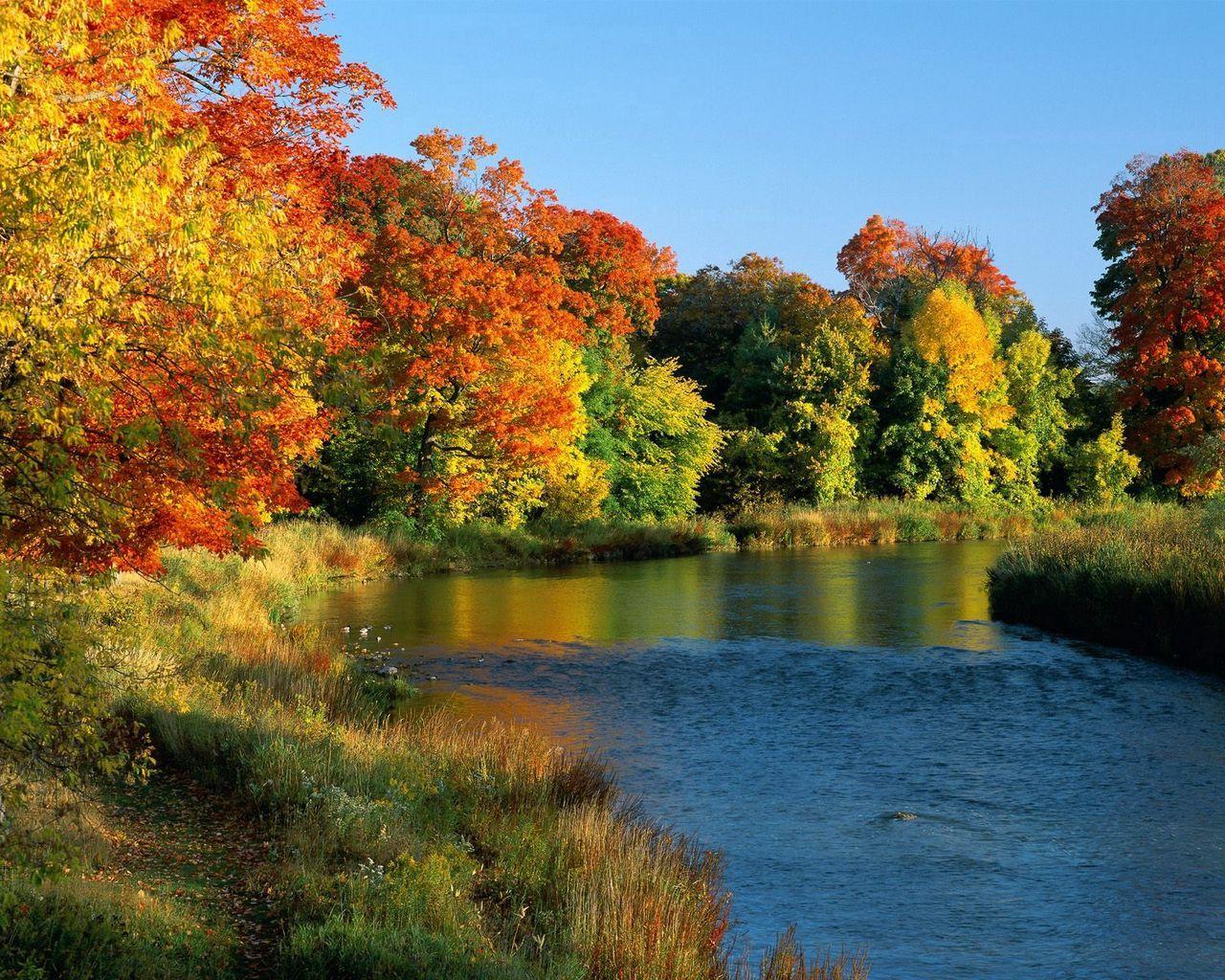 1280x1024 Download wallpaper 1280x1024 ontario, canada, trees, river, coast, autumn, current standard 5:4 HD background