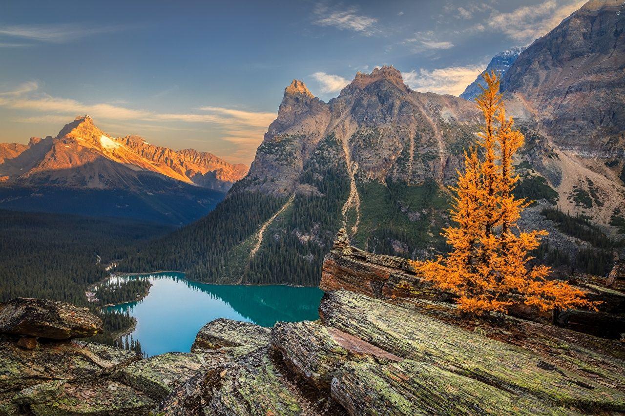 1280x852 Wallpaper Canada