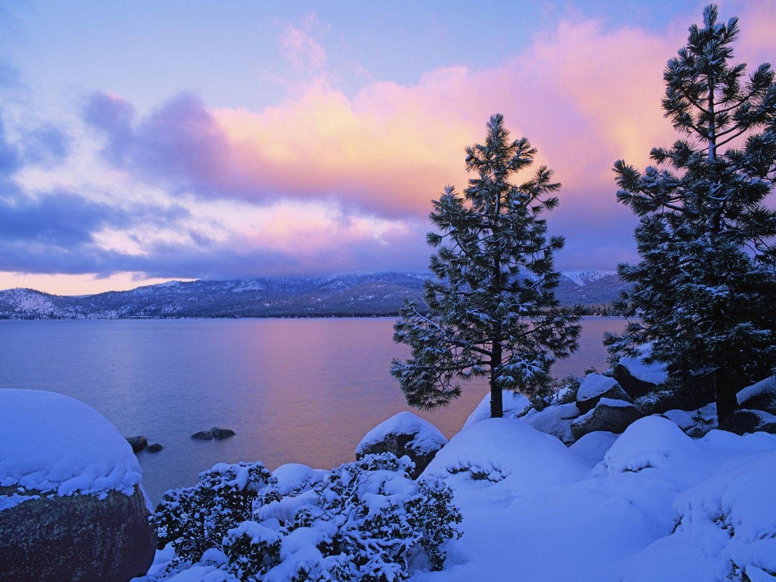 1600x1200 Free Winter Background Wallpaper