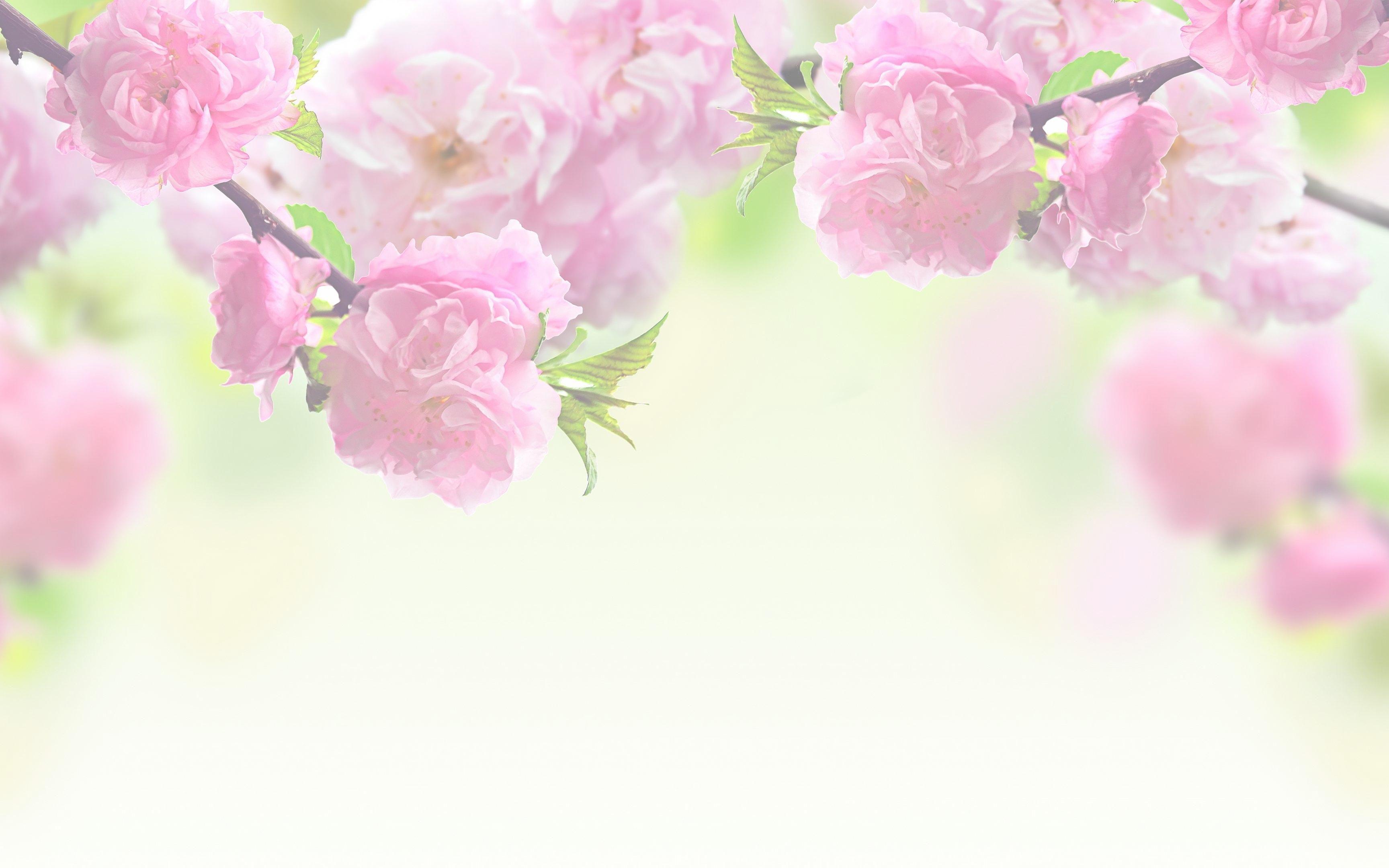 3456x2160 Funeral Background Image