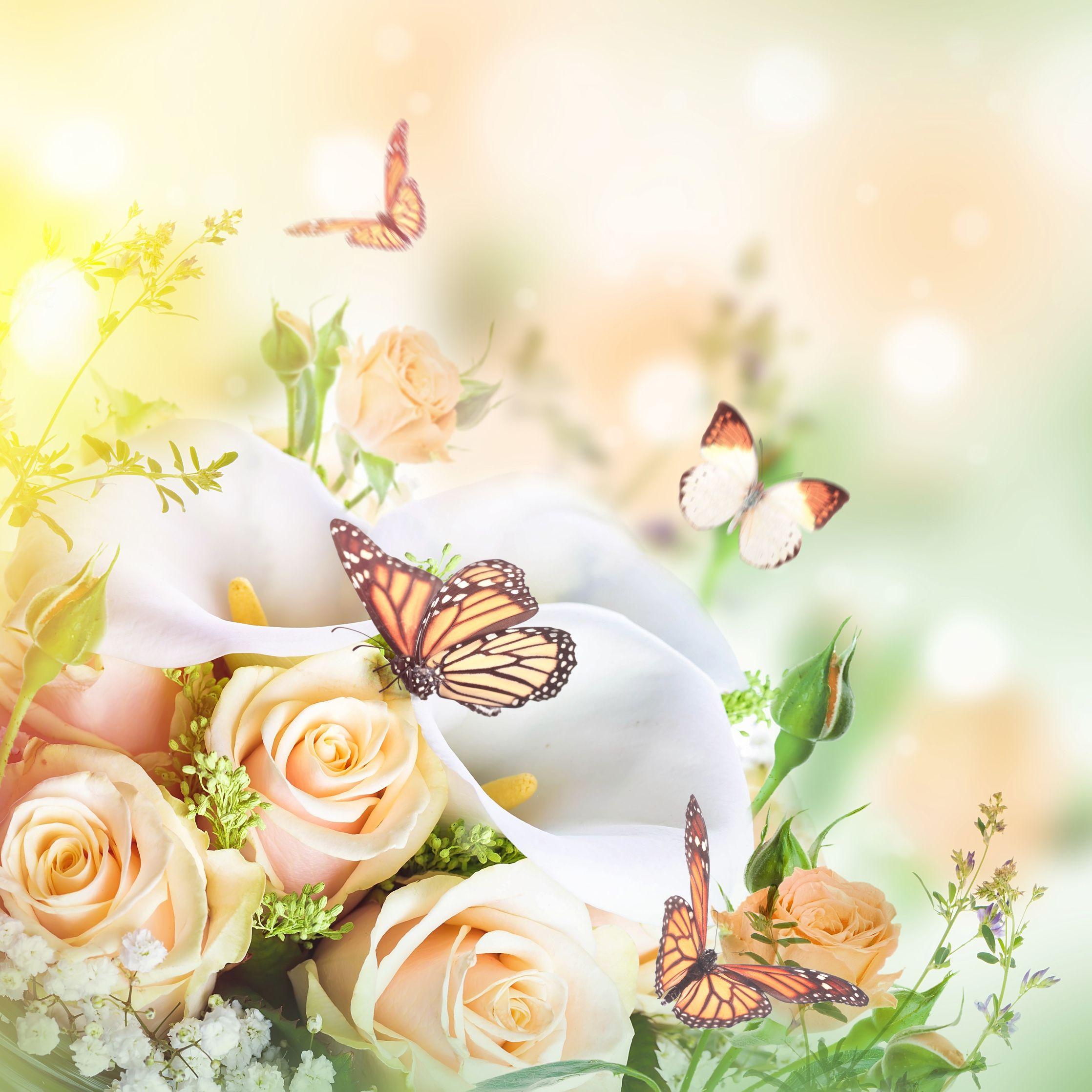 2236x2236 Funeral Floral Background .