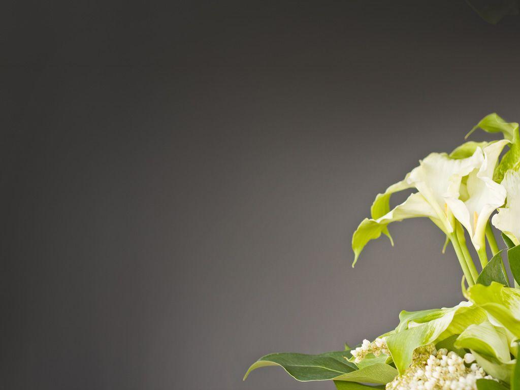 Sympathy Wallpapers - Top Free Sympathy Backgrounds - WallpaperAccess