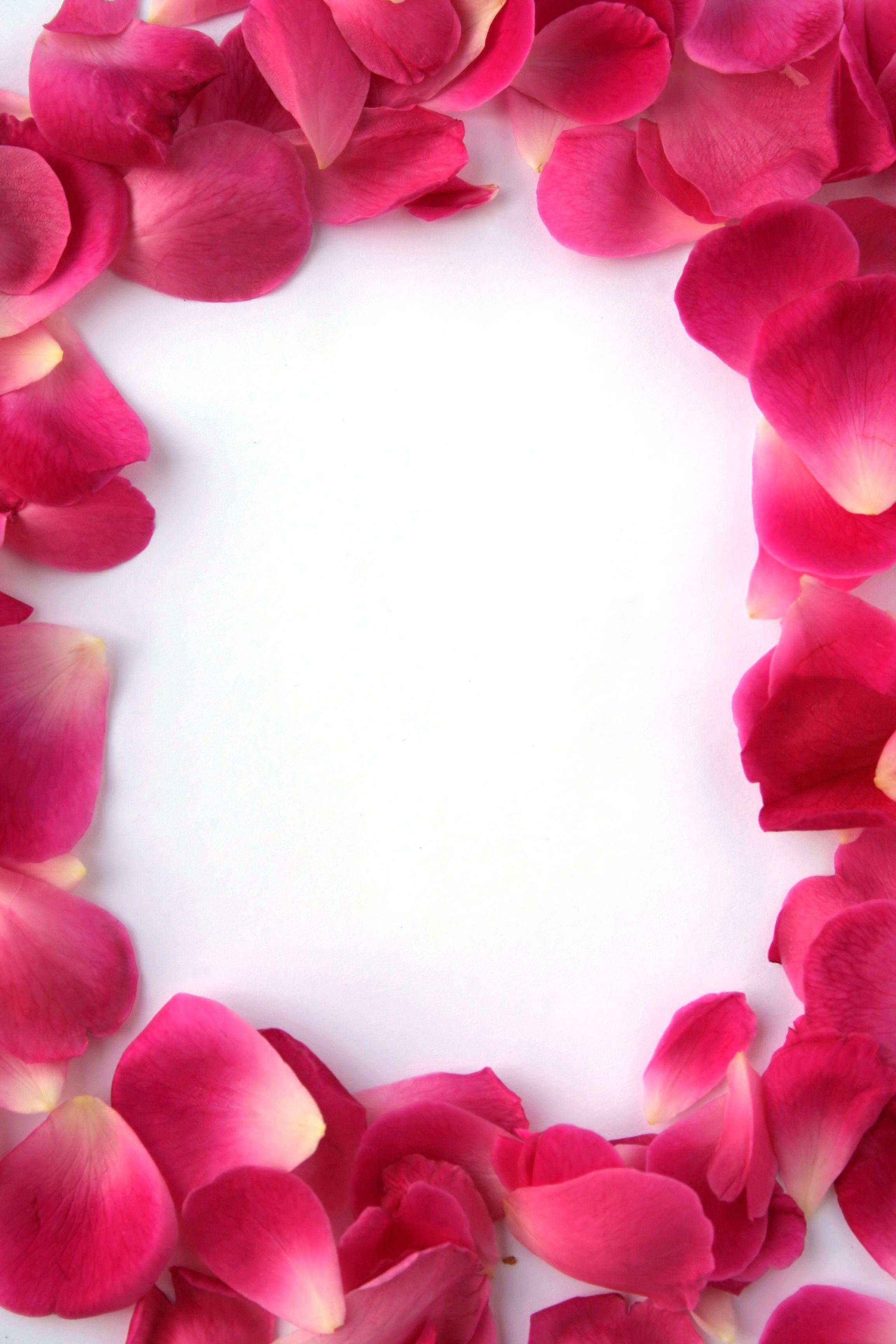 2304x3456 Funeral Wallpaper