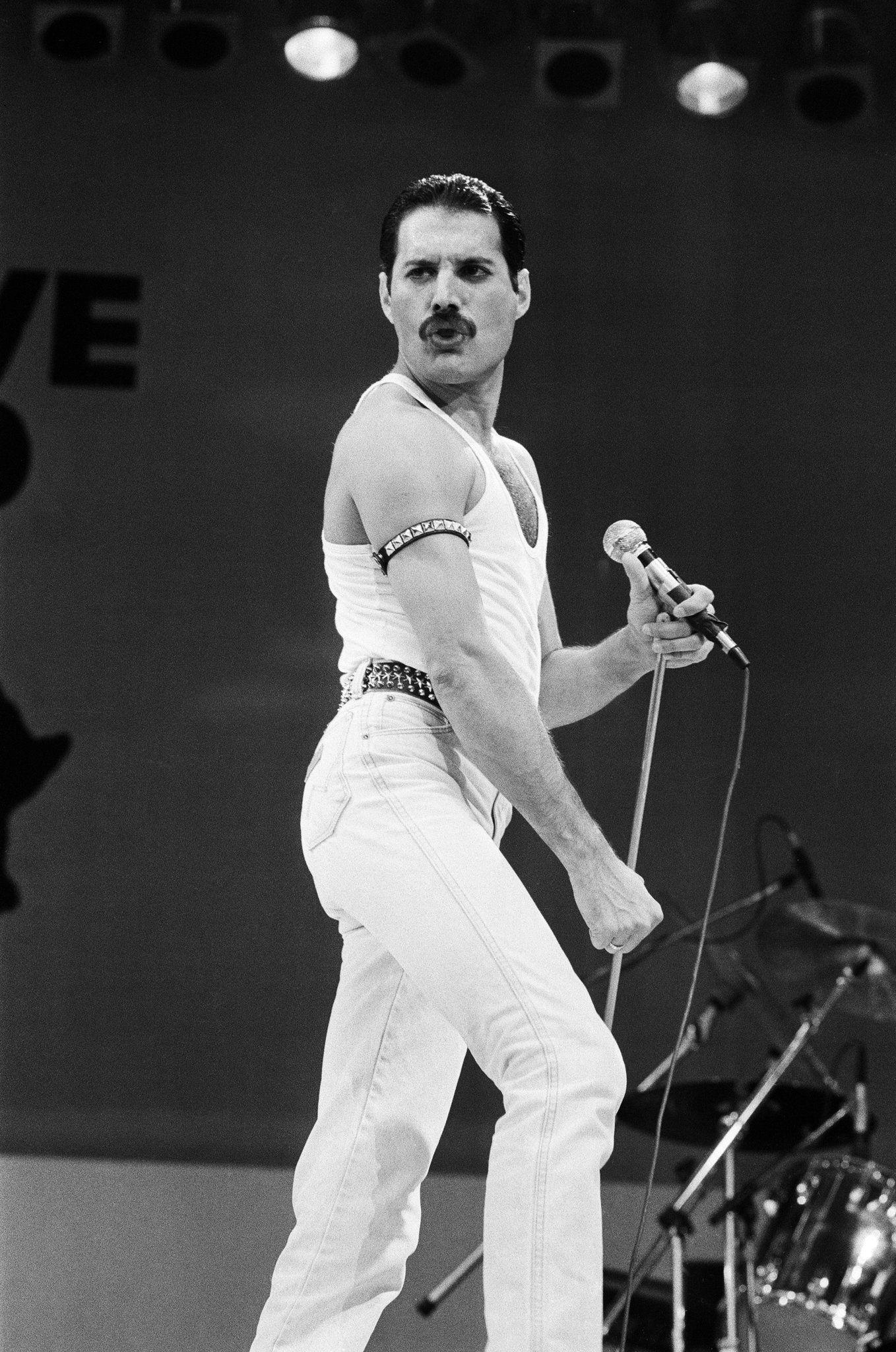1358x2048 Rami Malek, Catching Mercury (Published 2018). Queen freddie mercury, Freddie mercury, Rami malek