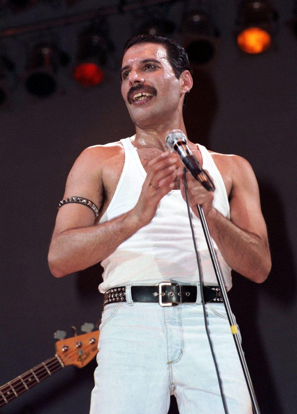 1024x1426 Freddie Mercury wallpaper