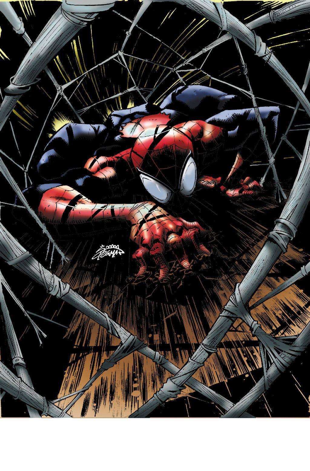 1024x1557 Superior Spiderman Wallpaper HD