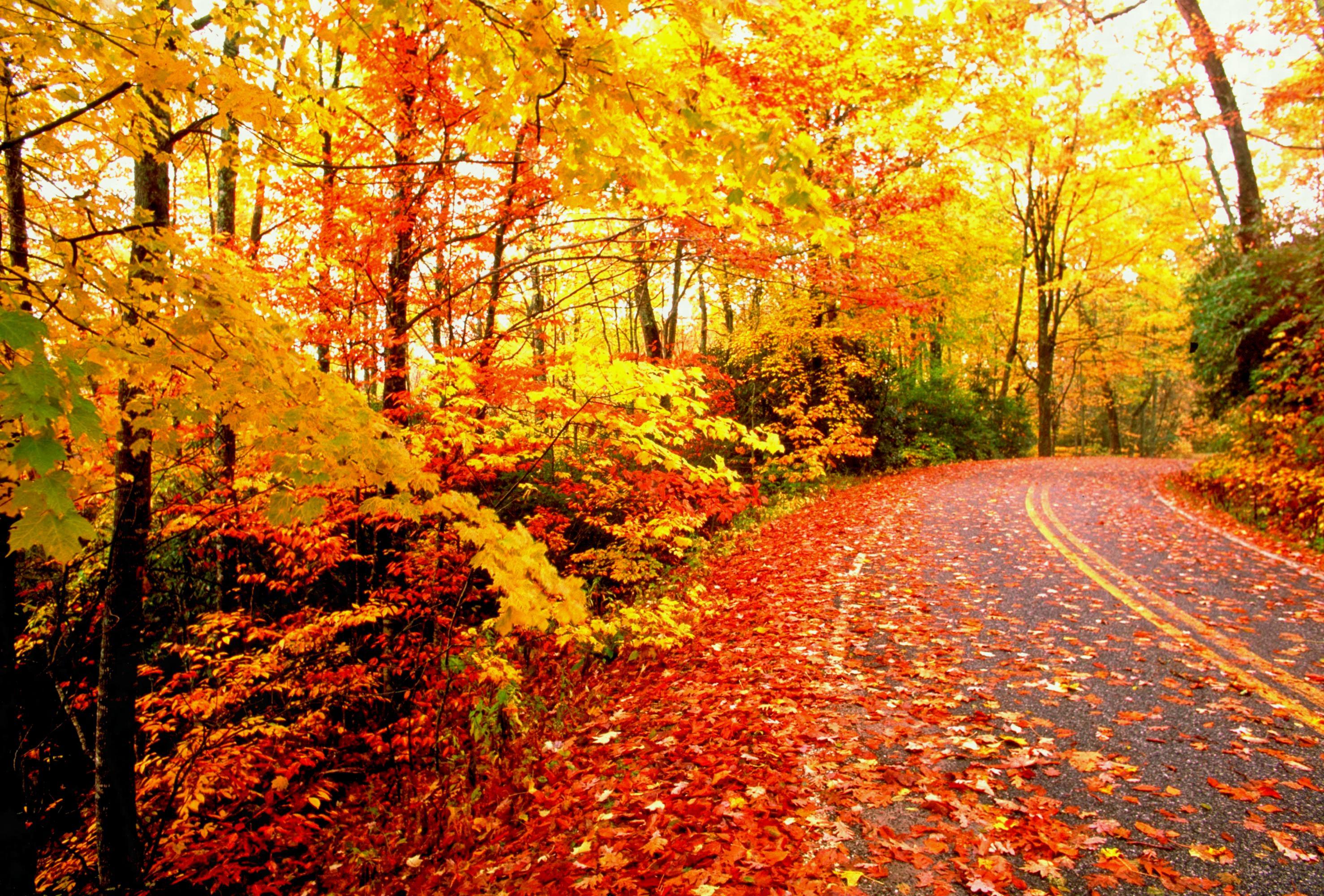 2956x2000 Fall Aesthetic Desktop Wallpaper