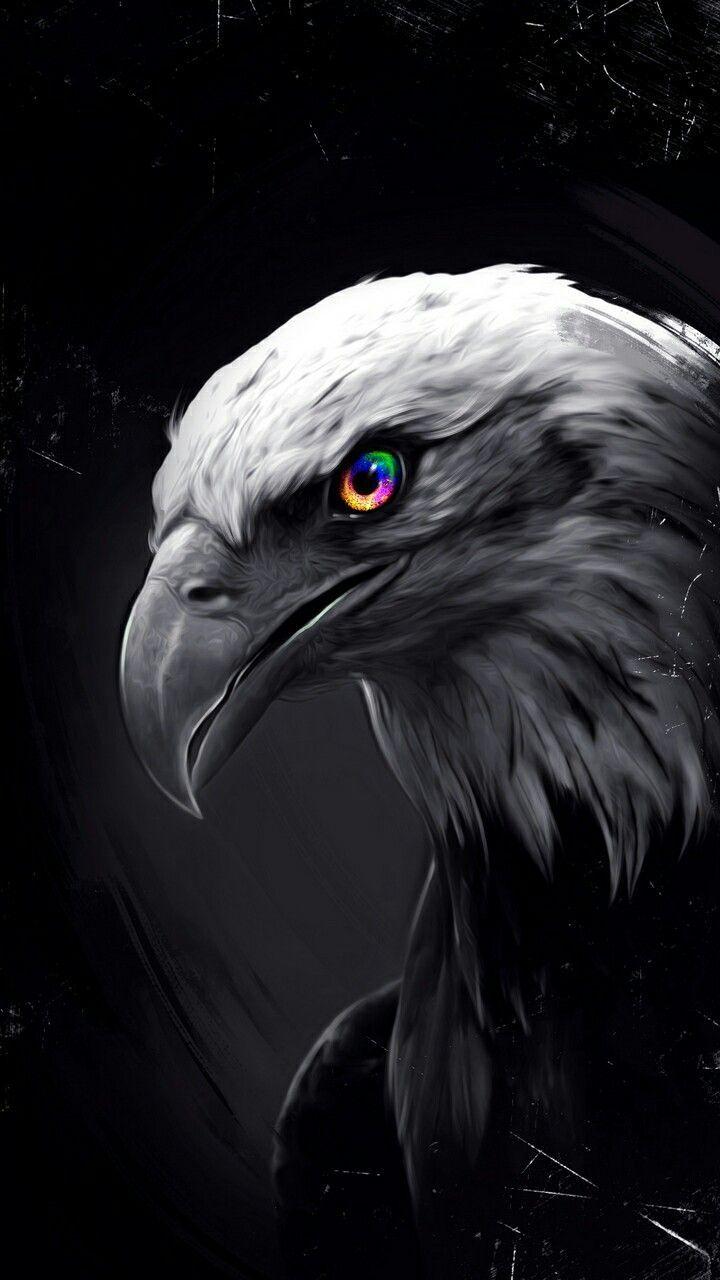 720x1280 Fondo de pantalla 4k. Eagle wallpaper, Wild animal wallpaper, Eagle picture