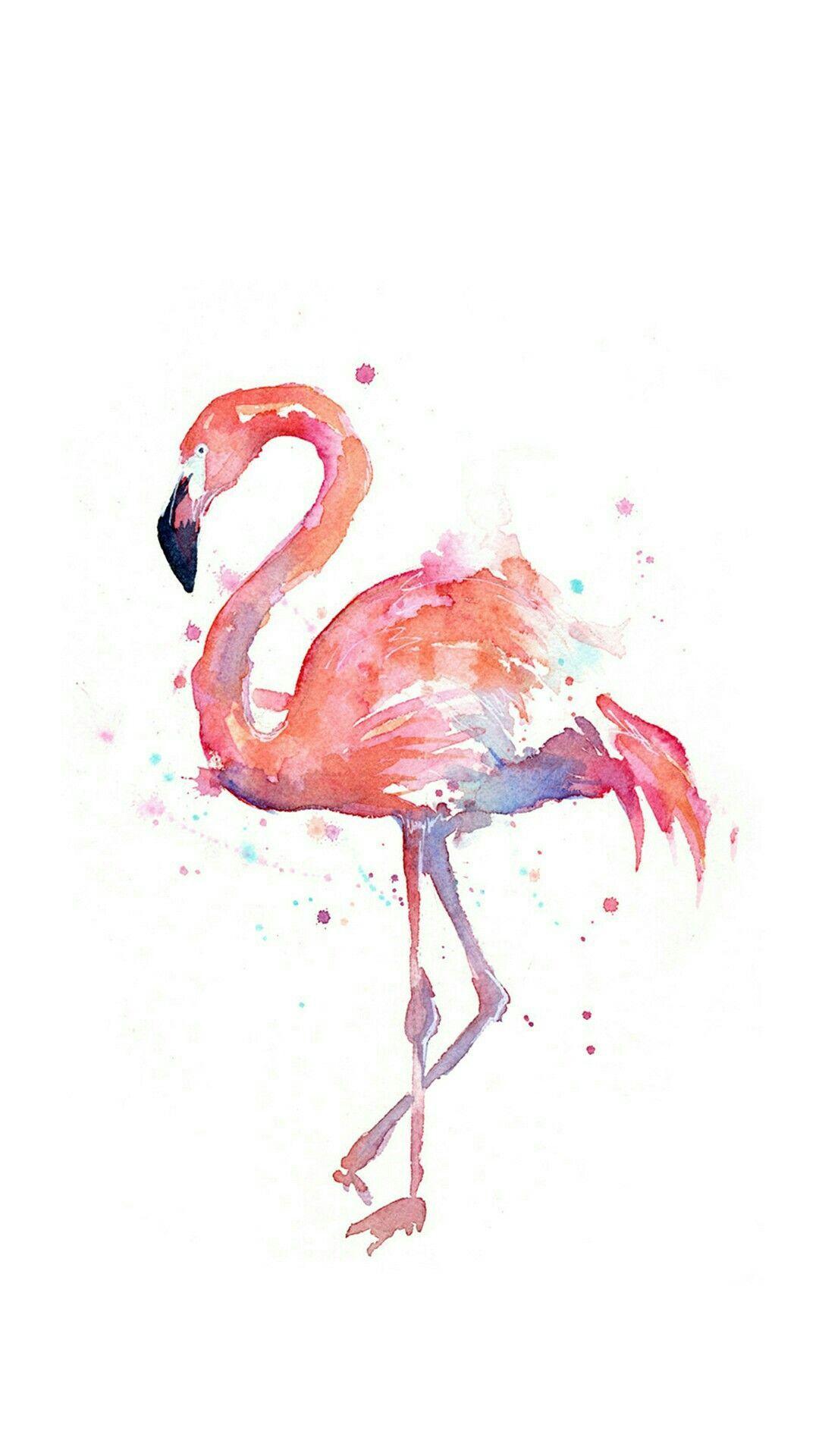 1080x1920 From wallpaper. Flamingo wall art, Animal wall art, Flamingo painting