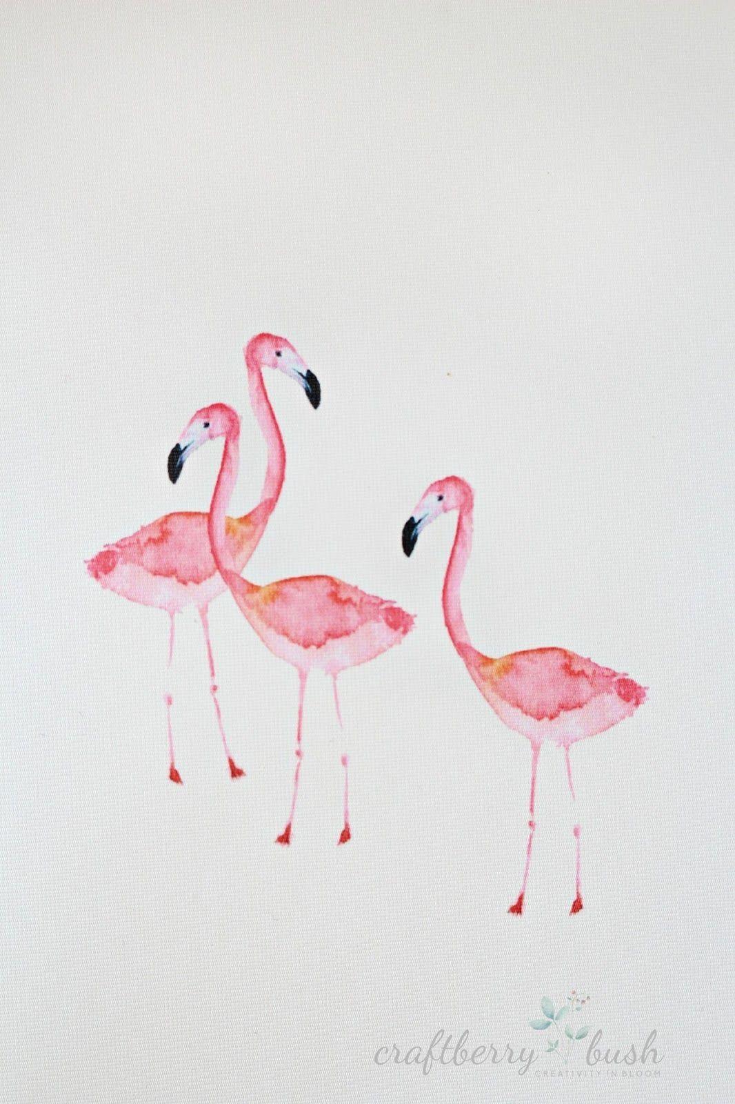1066x1600 Craftberry Bush: Watercolor flamingo wallpaper. Flamingo wallpaper, Painted picture frames, Colorful artwork