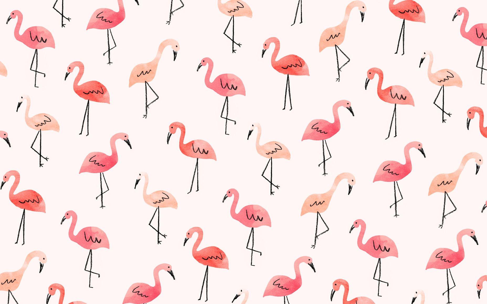 1856x1161 Flamingo Wallpaper Computer Watercolor .
