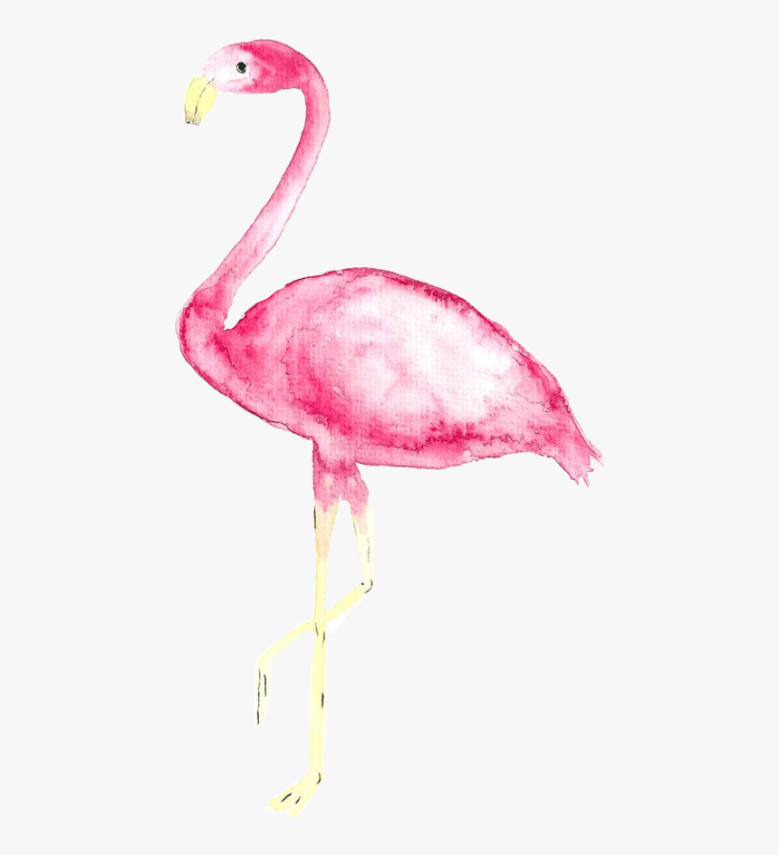 860x944 tumblr #watercolor #aquarelle #flamingo #freetoedit Xs Max Wallpaper Flamingo, HD Png Download, Transparent Png Image