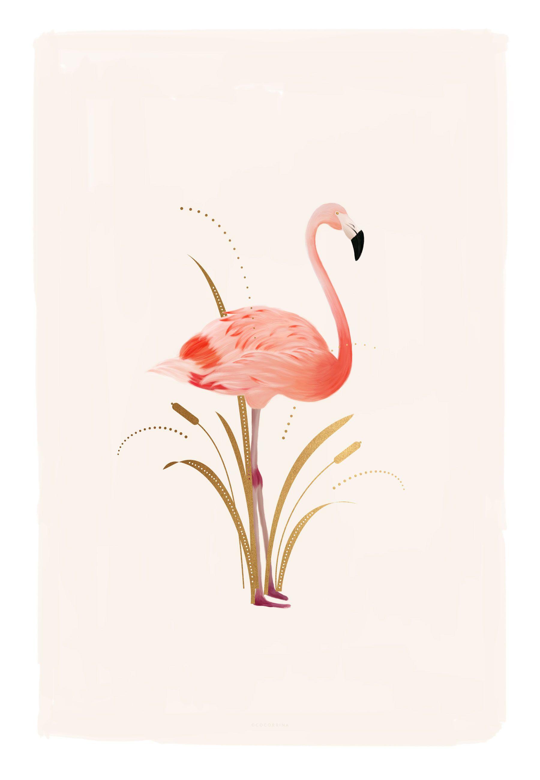 1800x2600 A new Era begins. Back with you shortly. Flamingo illustration, Flamingo art, Bird art
