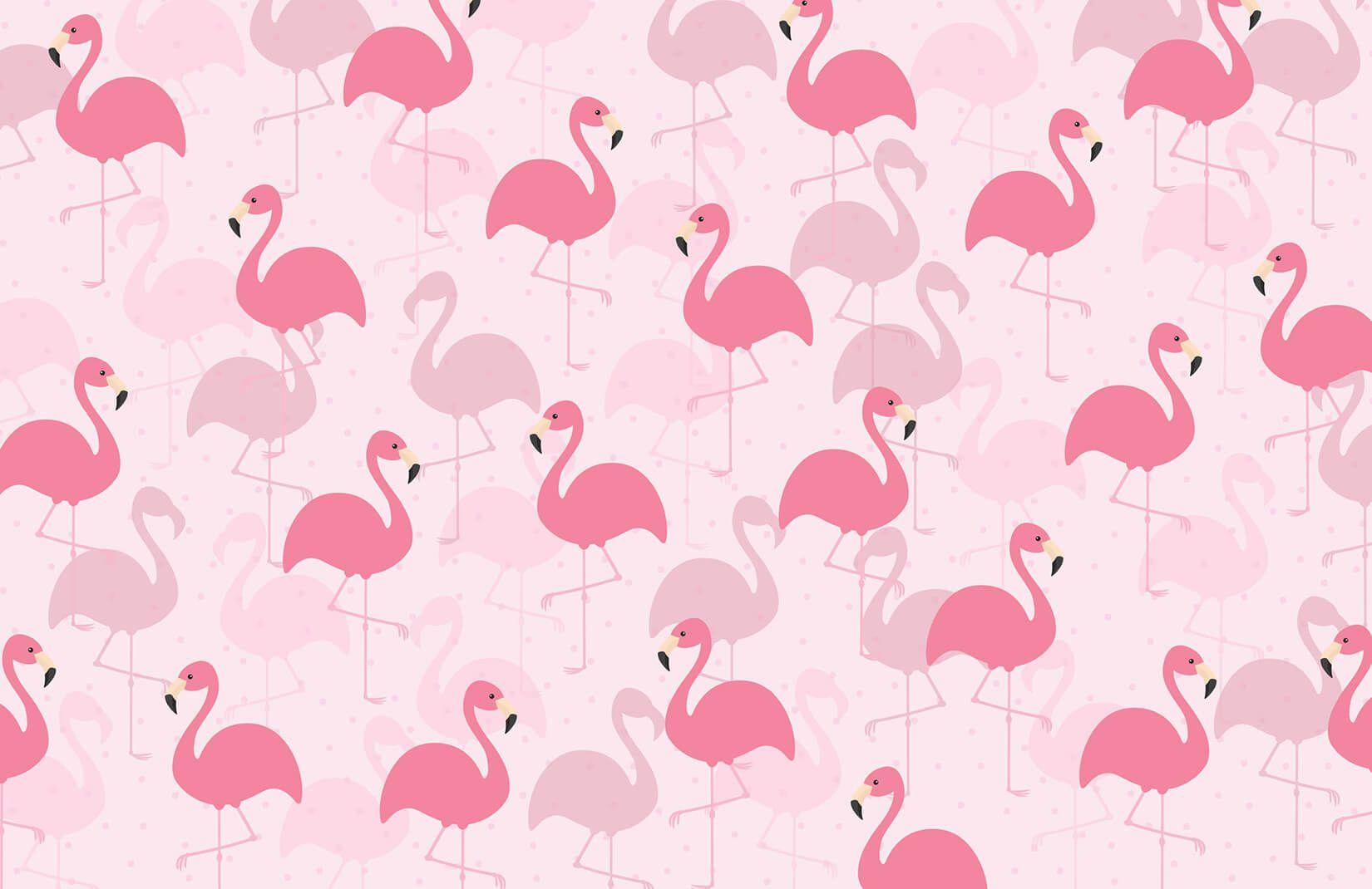 1650x1070 Fancy Flamingo Wallpaper Mural