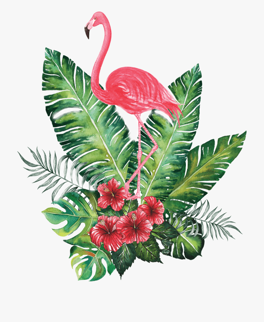 920x1121 Dise A Bonito Wallpaper And Watercolor Fondo Ⓒ Art Watercolor Flamingo, Transparent Cartoon, Free Clipart & Silhouettes