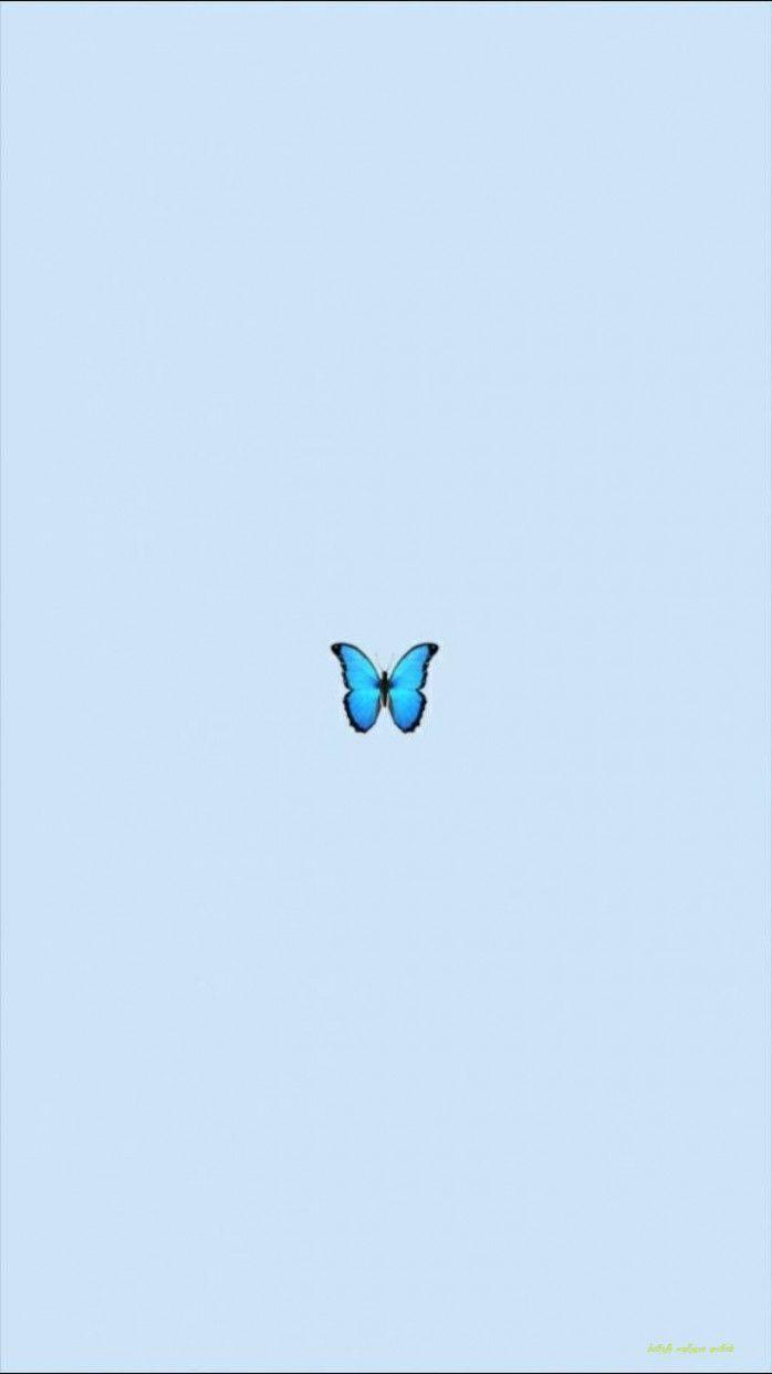 698x1241 Những Điều Nhỏ Nhưng Quan Trọng Cần Quan Sát Trong Thẩm Mỹ Hình Nền Con Bướm.  bướm wa.  Hình nền bướm xanh, Hình nền bướm, Hình nền bướm iphone