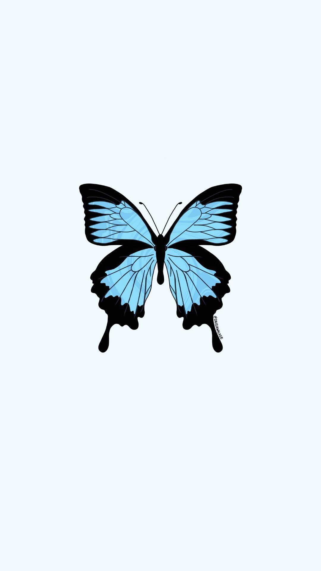 1080x1920 Bướm xanh nhỏ.  Hình nền con bướm xanh, Con bướm xanh, Hình nền con bướm