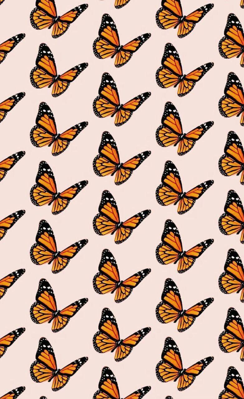 Hình nền con bướm đơn giản thẩm mỹ 783x1280