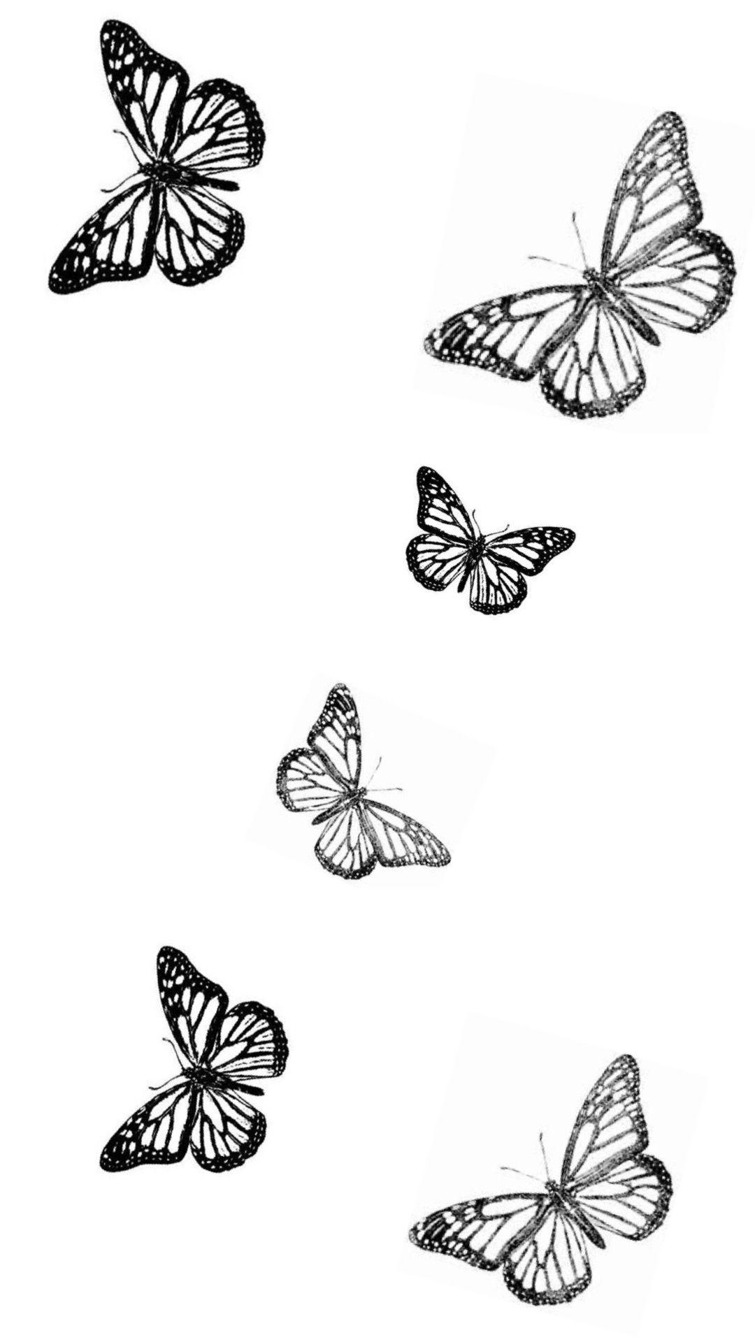 1080x1920 Hiệu ứng con bướm.  Hình xăm đơn giản, Hình nền con bướm trên iphone, Hình xăm đùi bướm