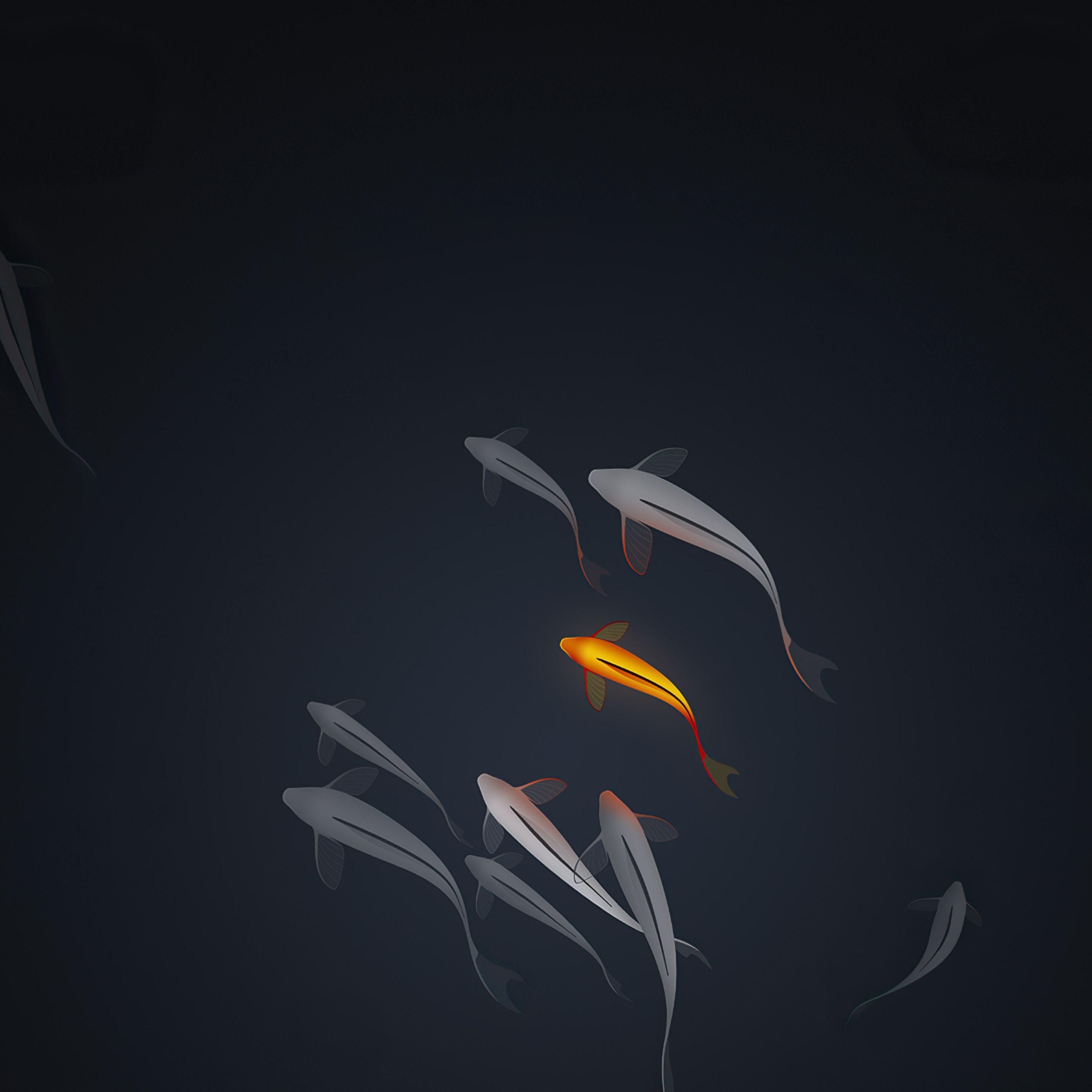 2932x2932 Koi Fishes Minimal 4k iPad Pro Retina Display HD 4k Wallpaper, Image, Background, Photo and Picture