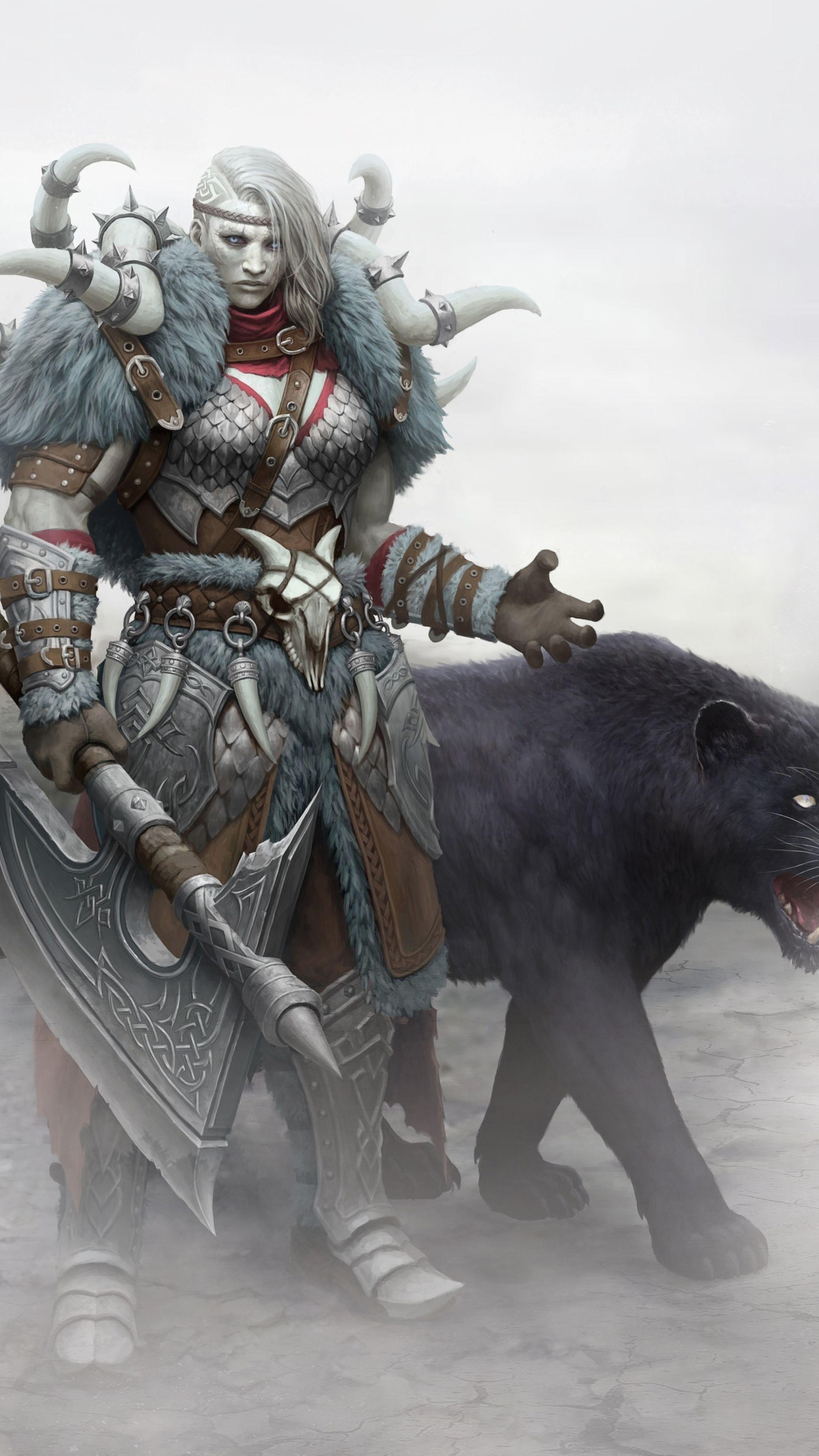 2160x3840 Viking Warrior Wallpaper HD