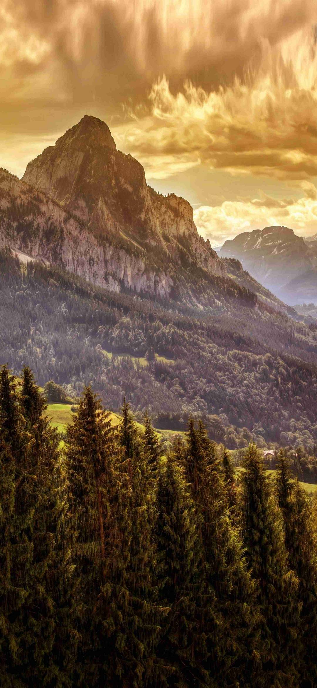 1080x2340 Wallpaper