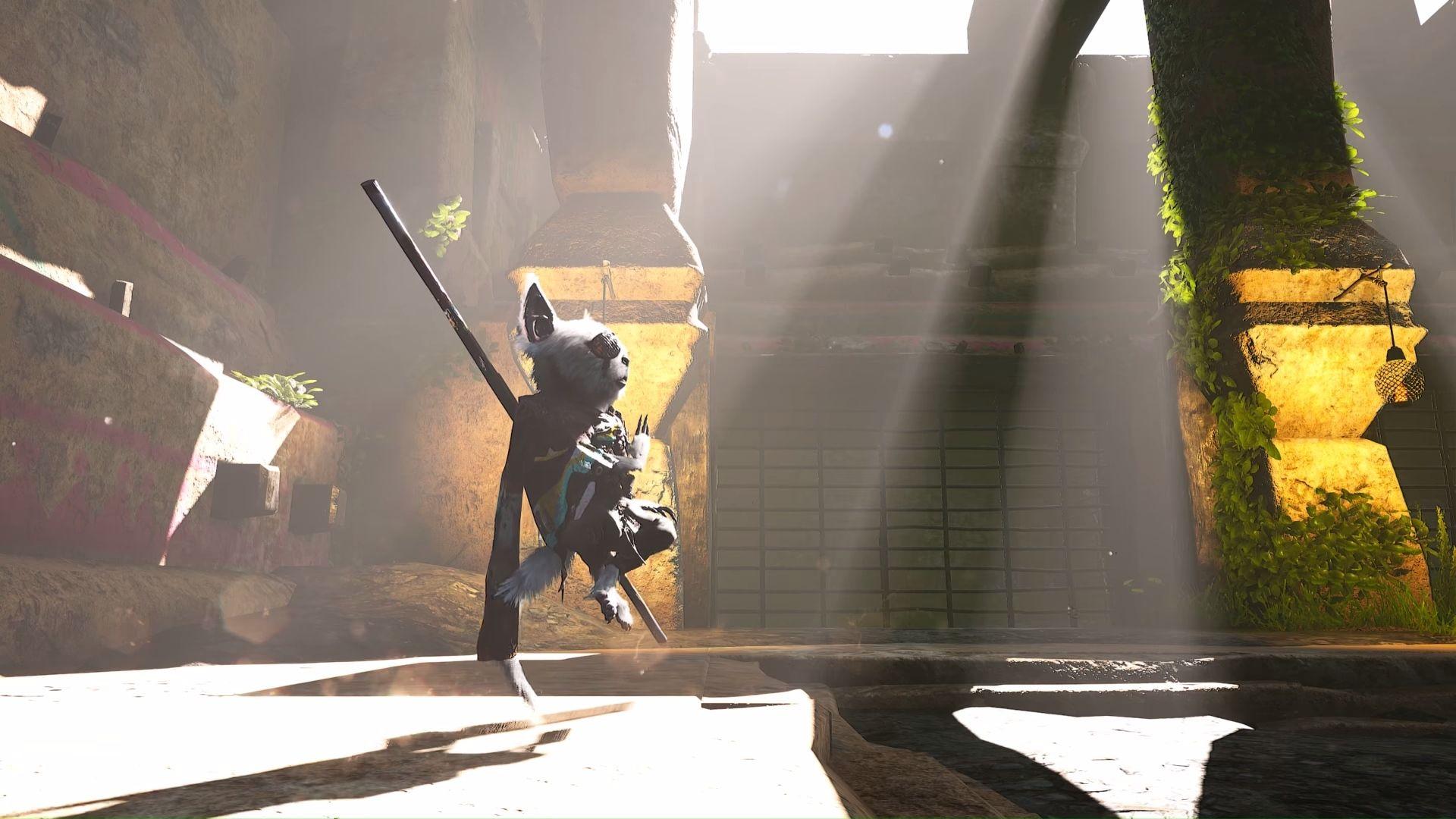 1920x1080 Biomutant gameplay trailer shows off what the little guy can do