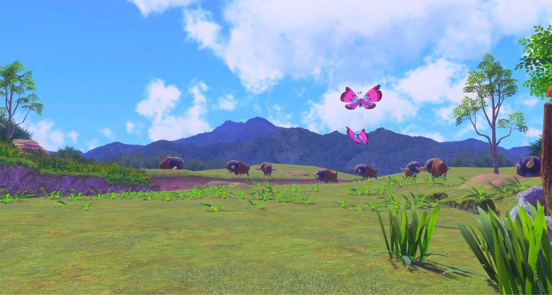 1790x956 New Pokémon Snap