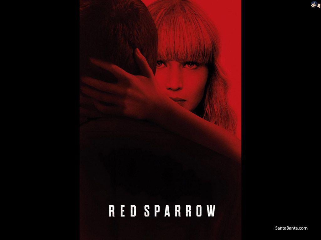 Red Sparrow Wallpapers - Top Free Red Sparrow Backgrounds - WallpaperAccess