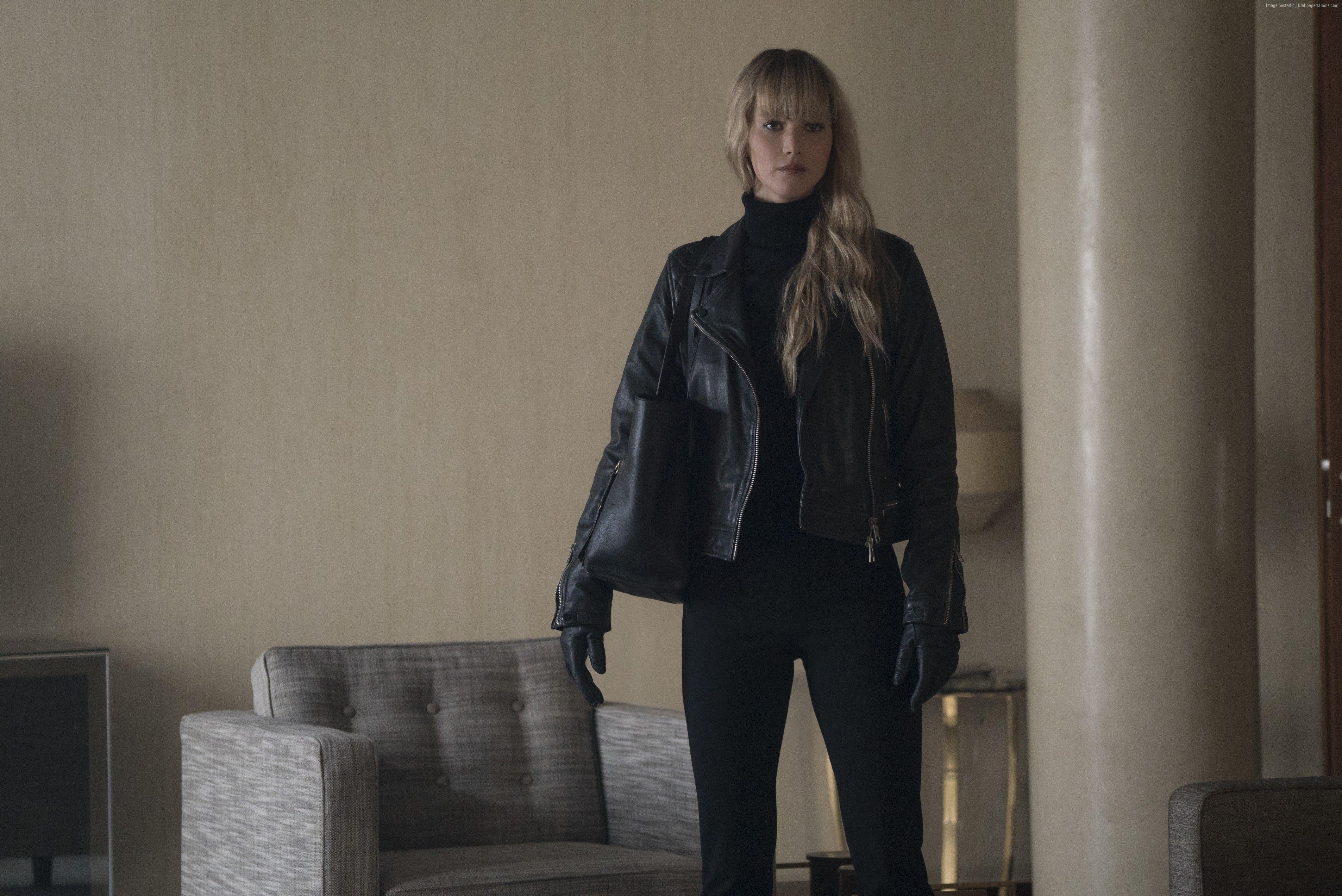 4240x2832 Red Sparrow Wallpaper
