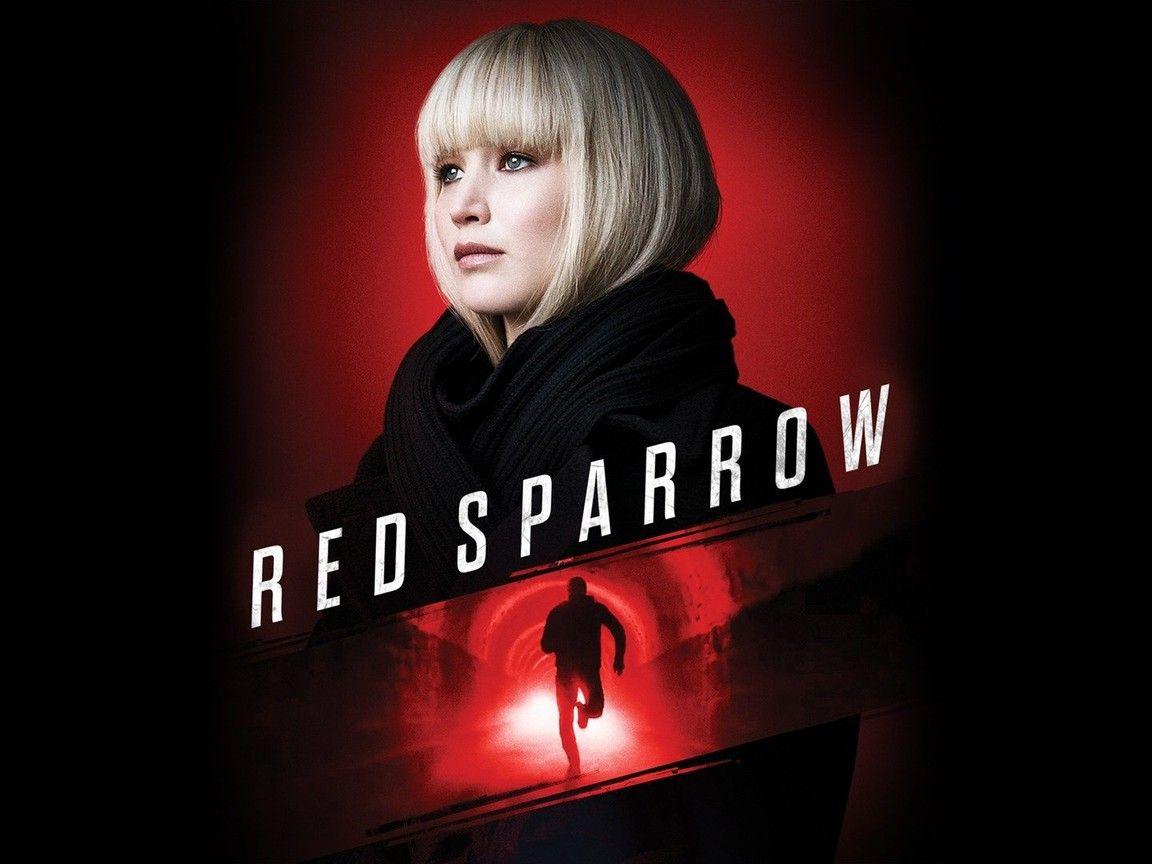 1152x864 Red Sparrow Picture
