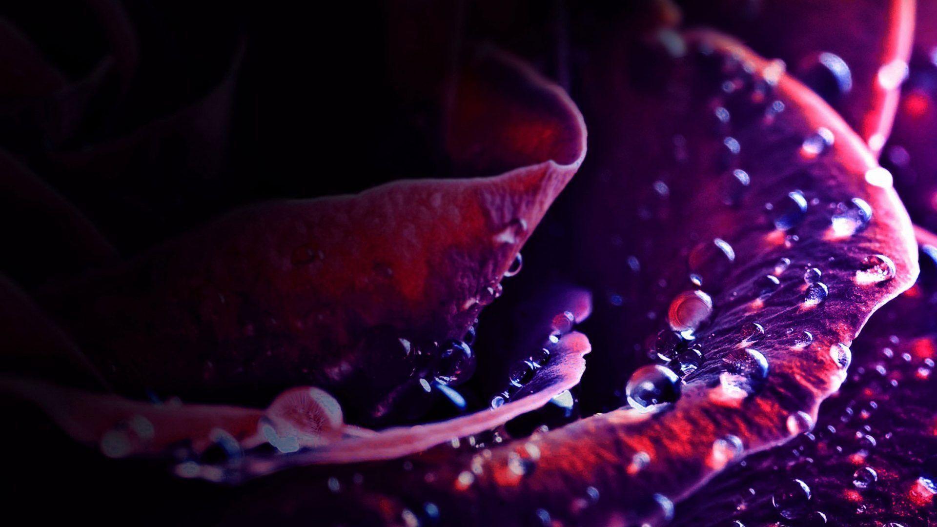 Indigo Aesthetic Wallpapers - Top Free Indigo Aesthetic Backgrounds