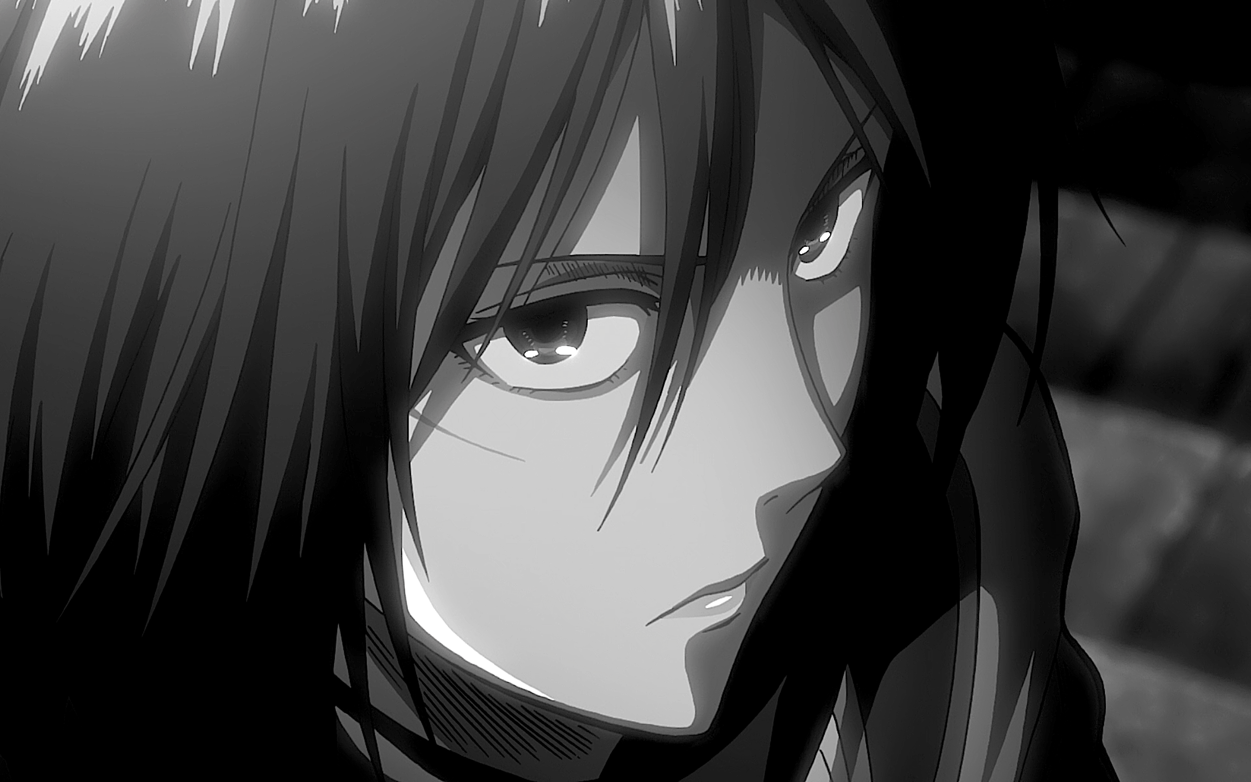 2560x1600 Attack On Titan Black and White Wallpaper .