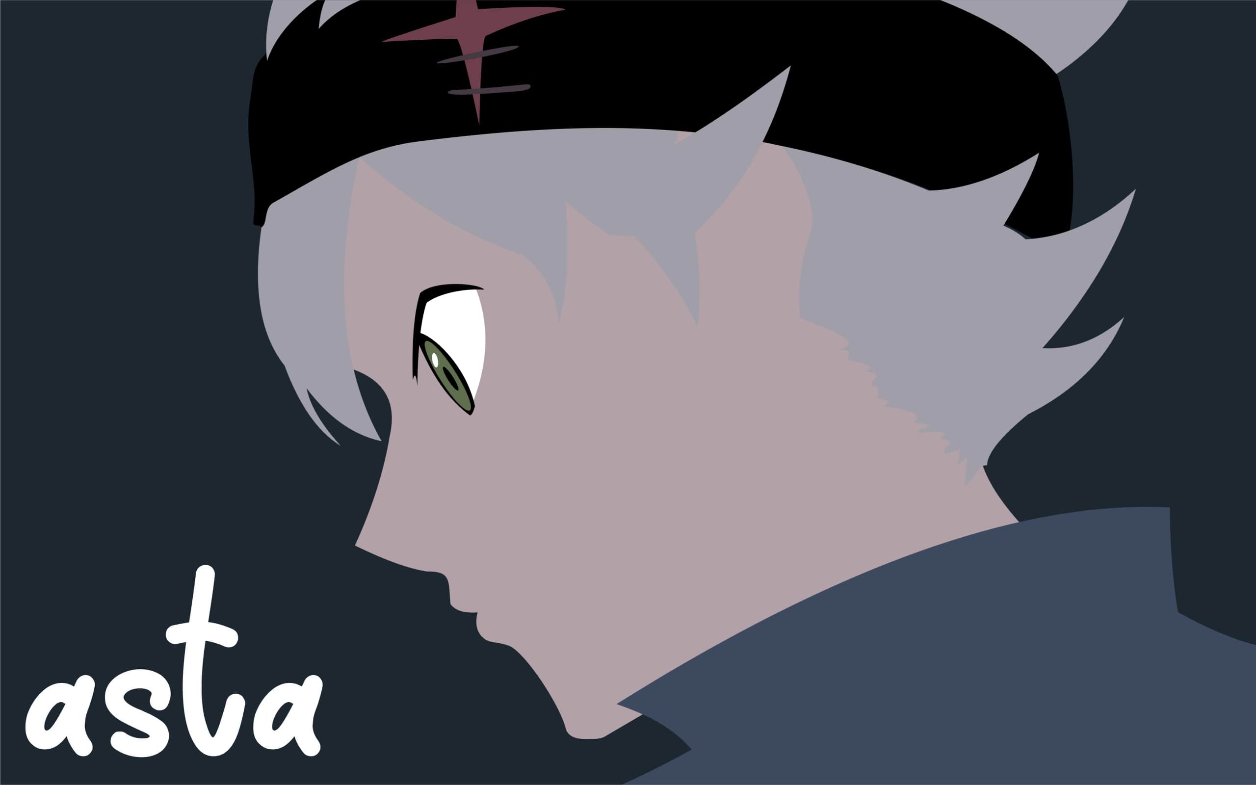 2560x1600 Asta Black Clover Wallpaper