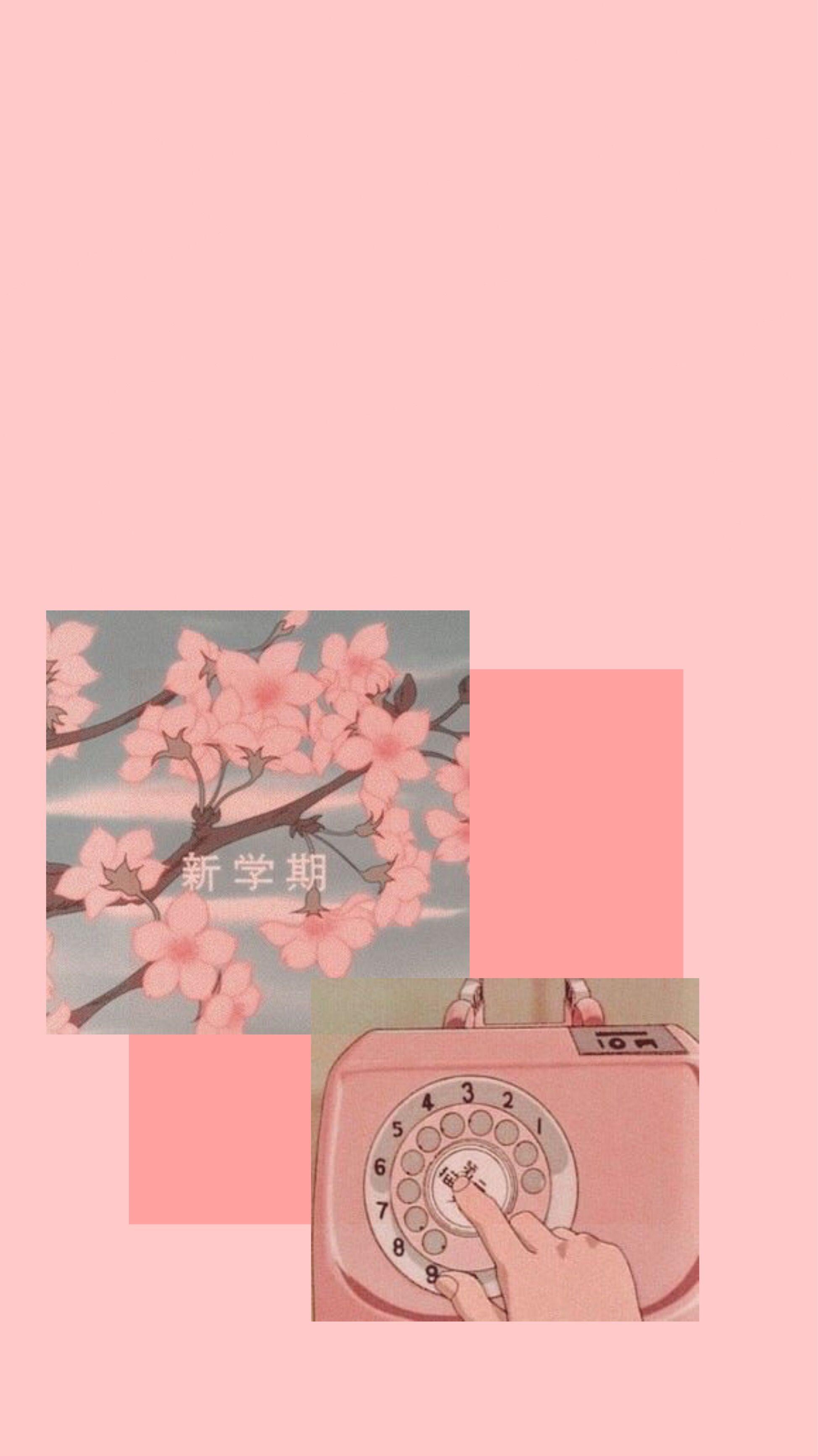 Pink Japanese Aesthetic Wallpapers Top Free Pink Japa - vrogue.co