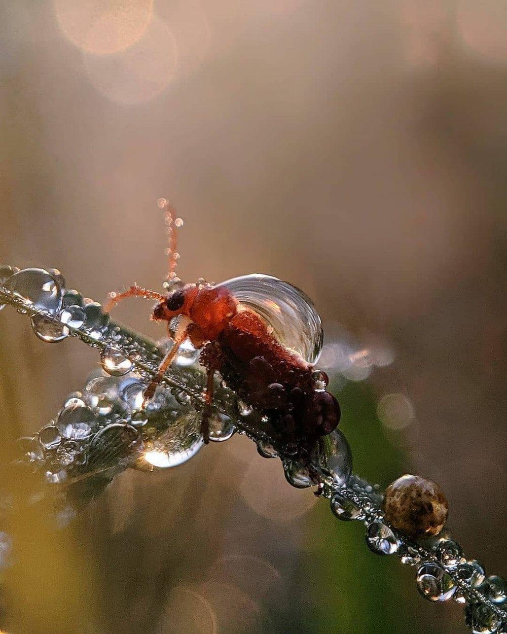 1000x1250 Biology Picture [HD]. Download Free Image