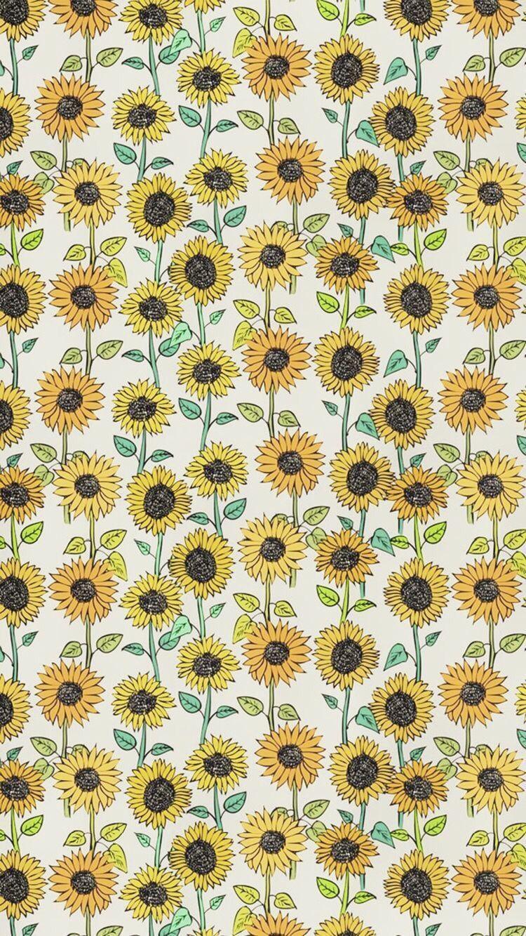 750x1333 N A T H A L I A D I N I Z ✧ • Fotos e vídeos do Instagram. Sunflower wallpaper, Cute wallpaper, Wallpaper background