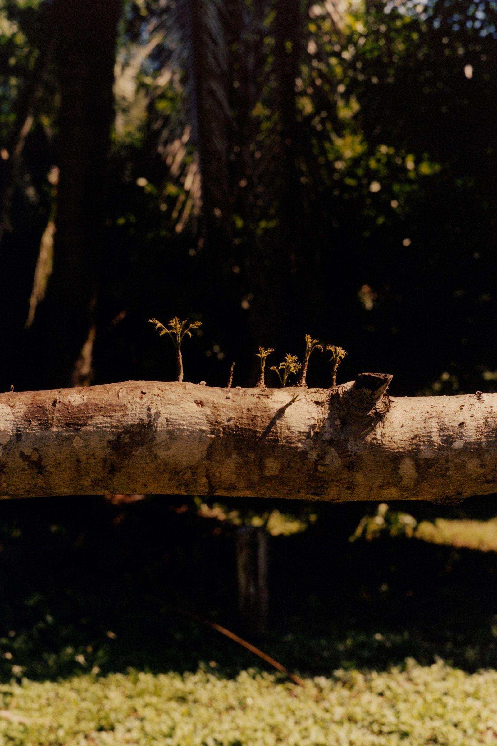 1600x2400 In picture: inspiring photography from 2019. Wallpaper*