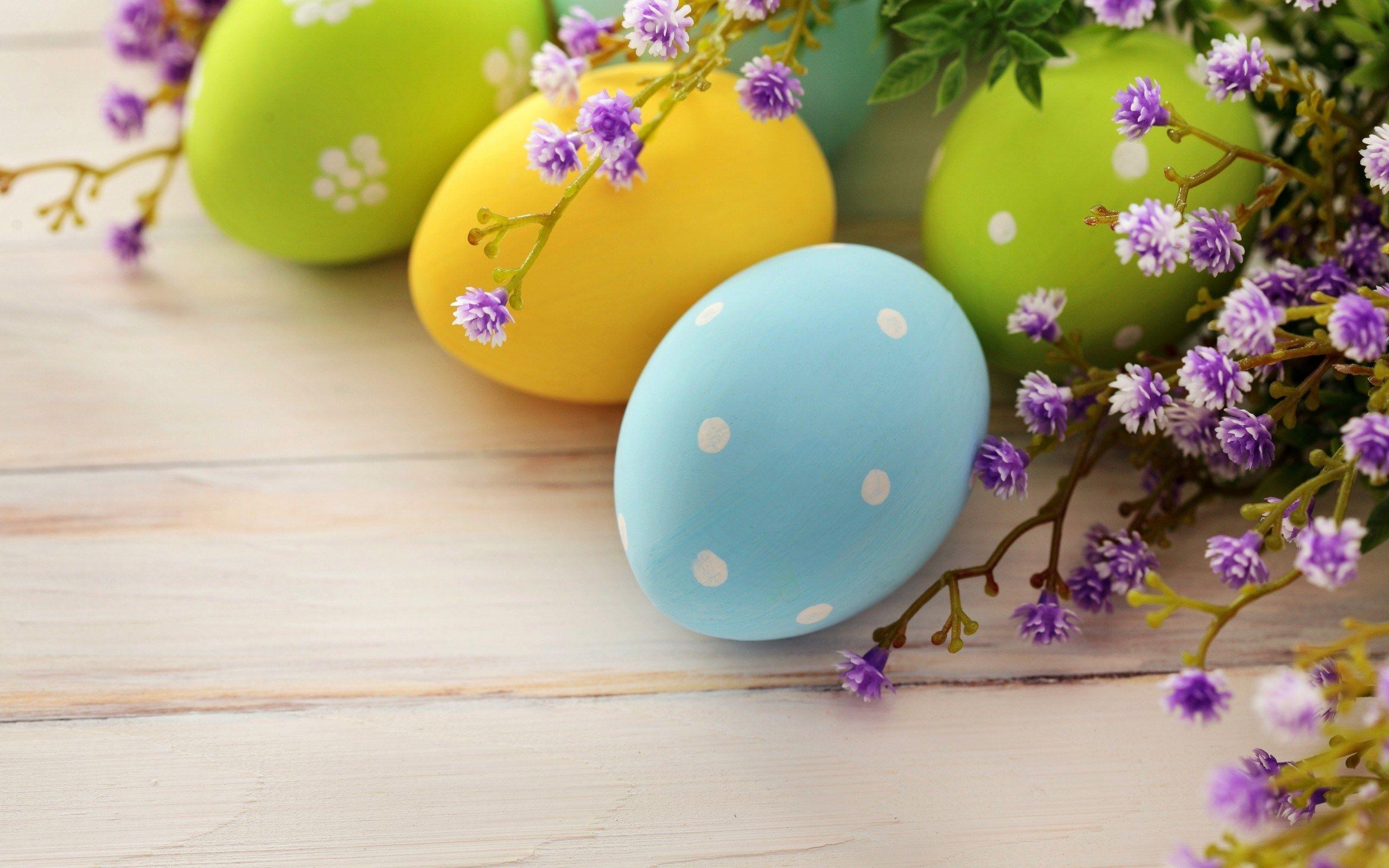 2560x1600 Eggs Flowers Spring Easter wallpaperx1600