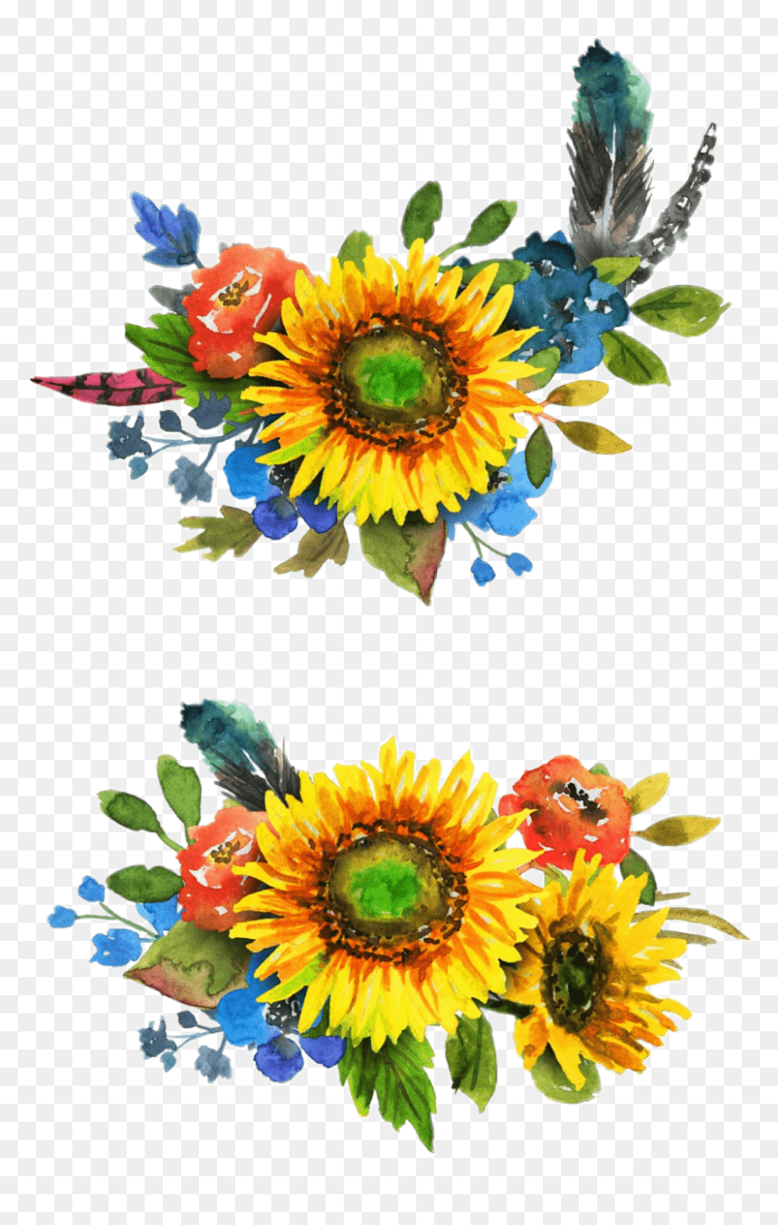 860x1354 watercolor #sunflower #sunflowers #flowers #floral Watercolor Sunflower Png, Transparent Png
