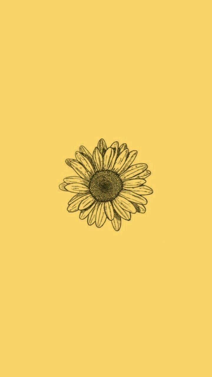 720x1280 Lock Screen Vintage Sunflower Wallpaper iPhone