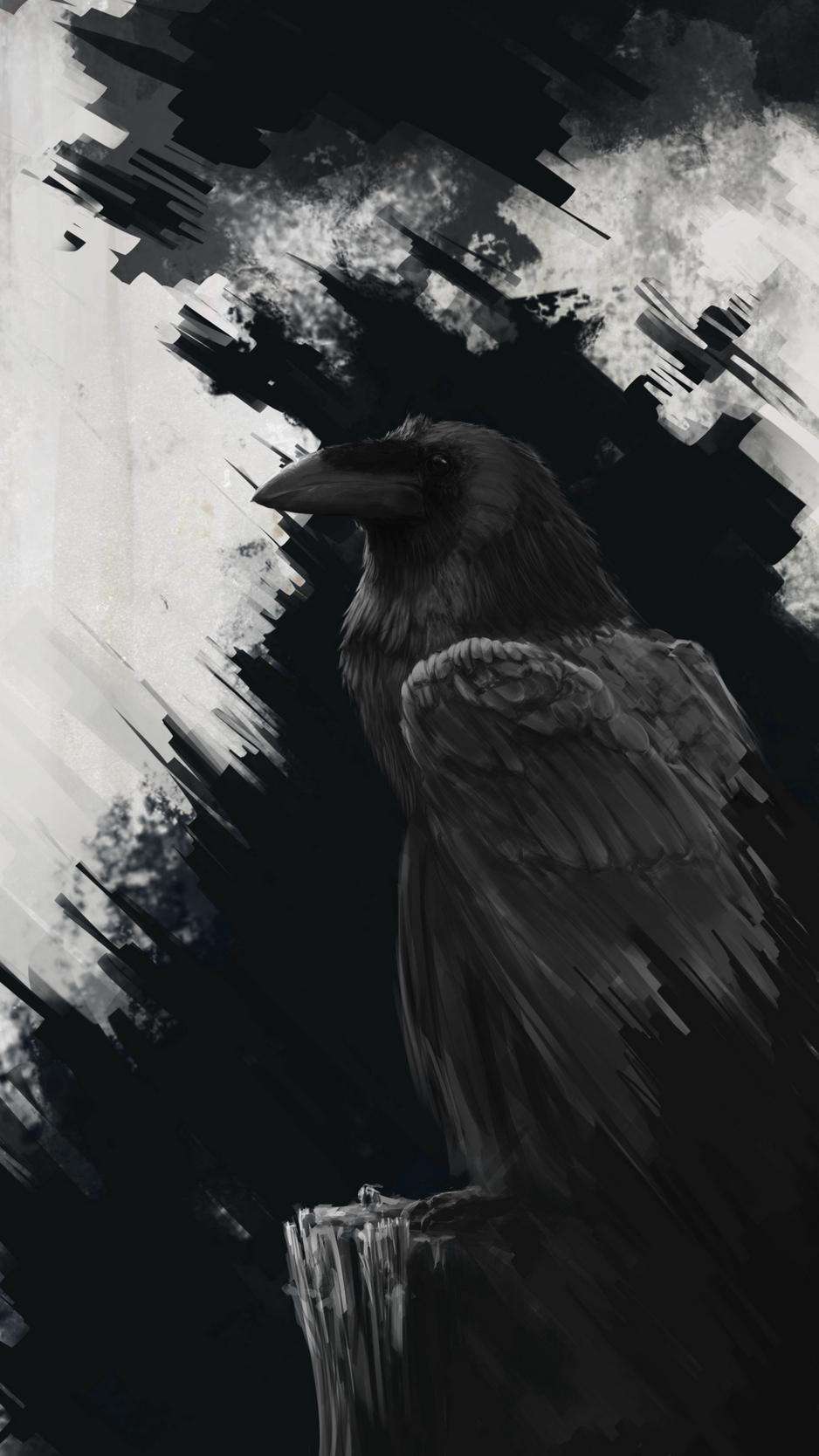 Cool Raven Wallpapers - Top Free Cool Raven Backgrounds - WallpaperAccess