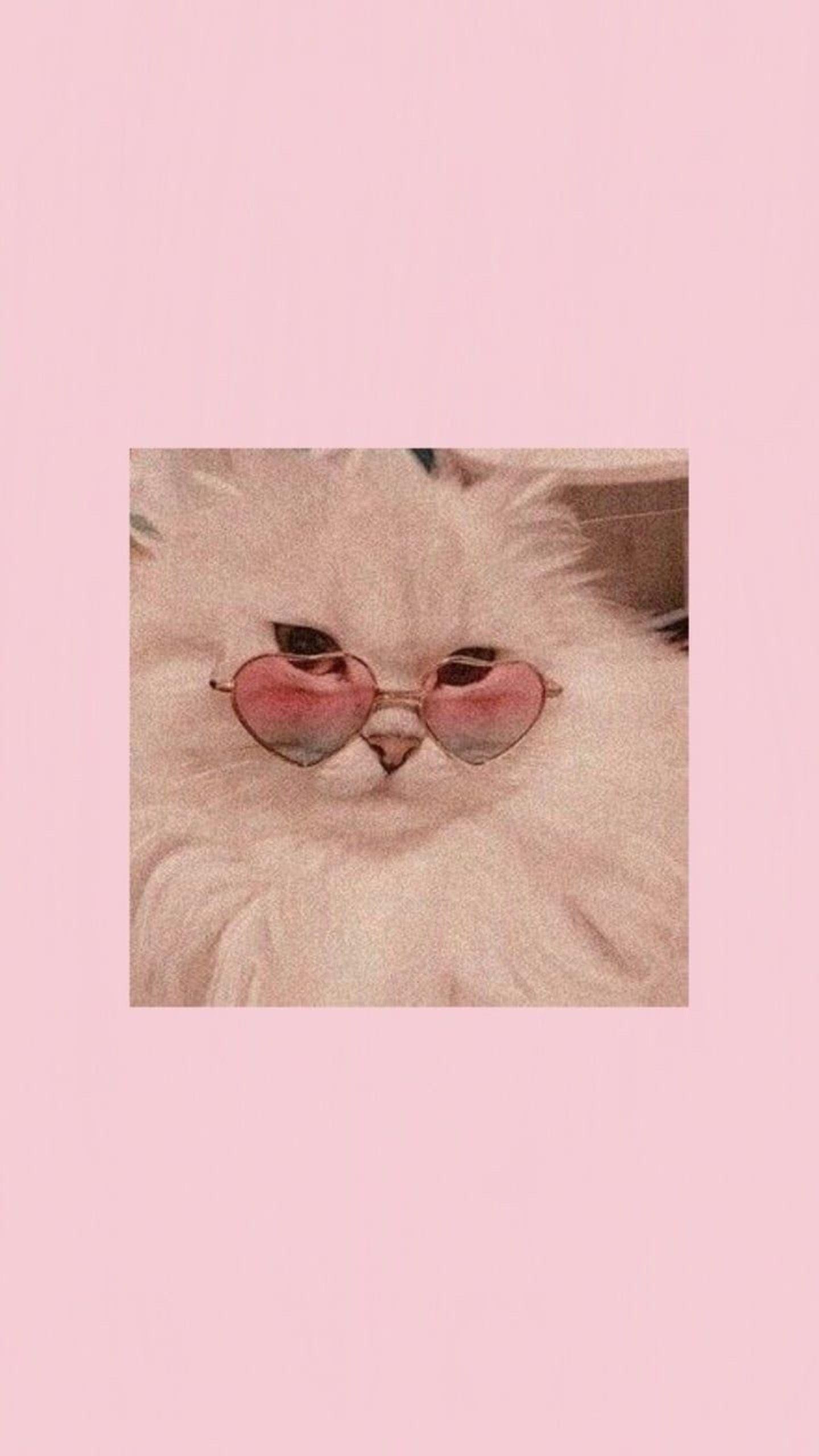 1440x2560 aesthetic kawaii cat cute pink wallpaper Image
