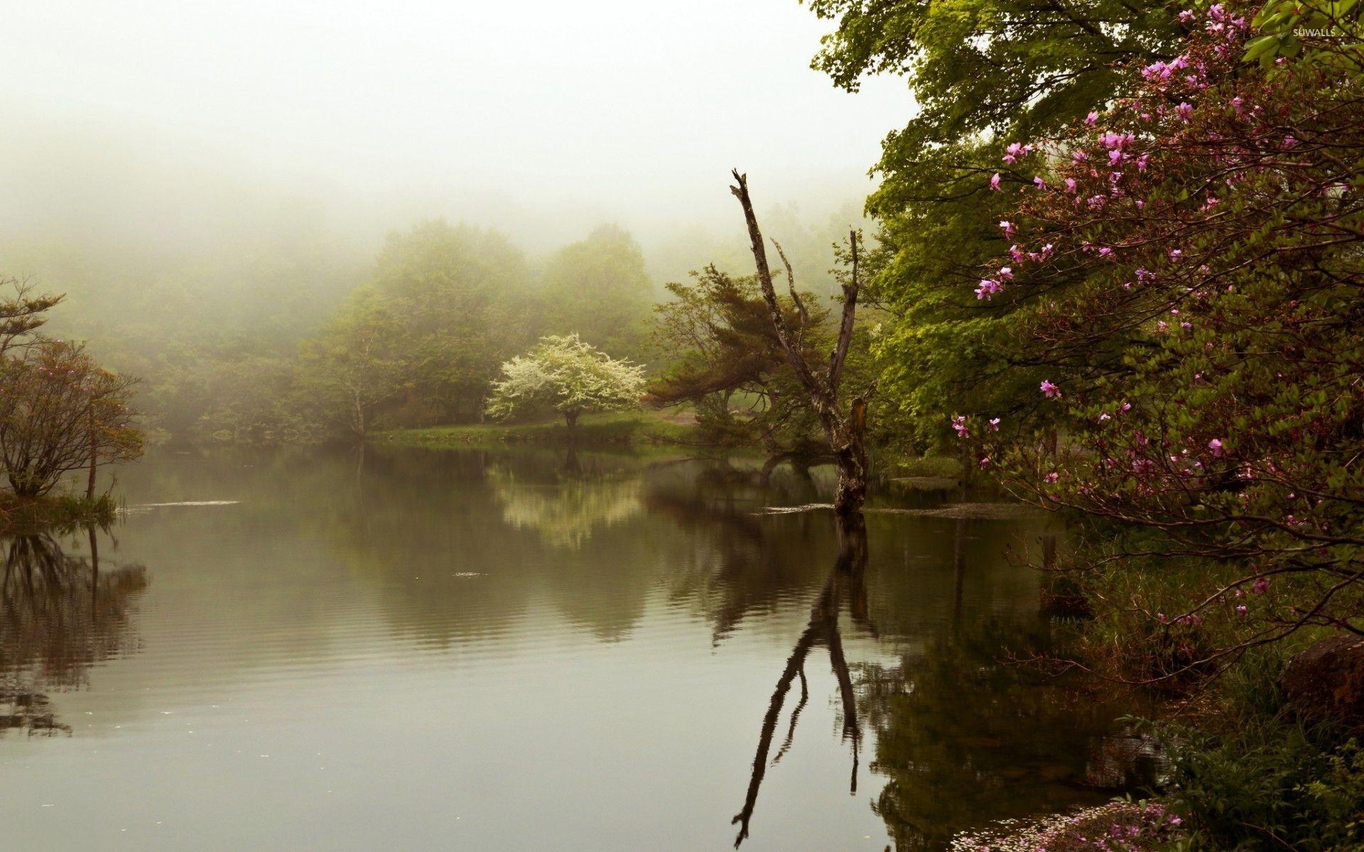 1920x1200 Foggy Lake Wallpaper