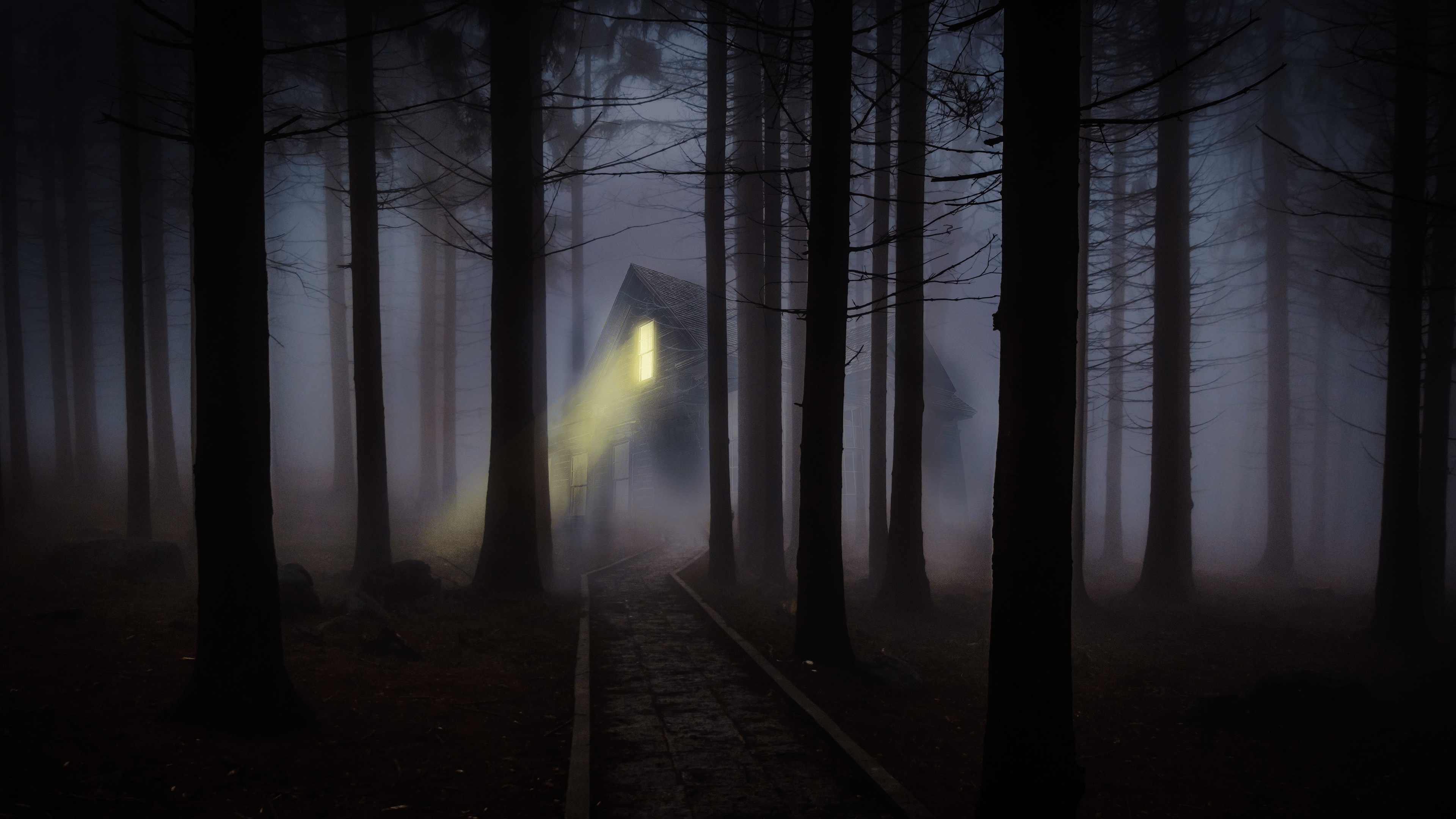 3840x2160 Foggy Night Wallpaper 4K .