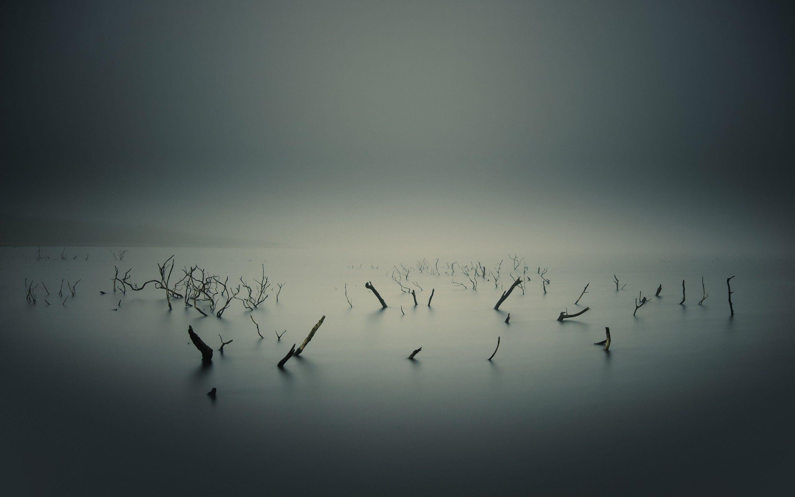 2560x1600 Foggy Lake Wallpaper HD / Desktop and Mobile Background