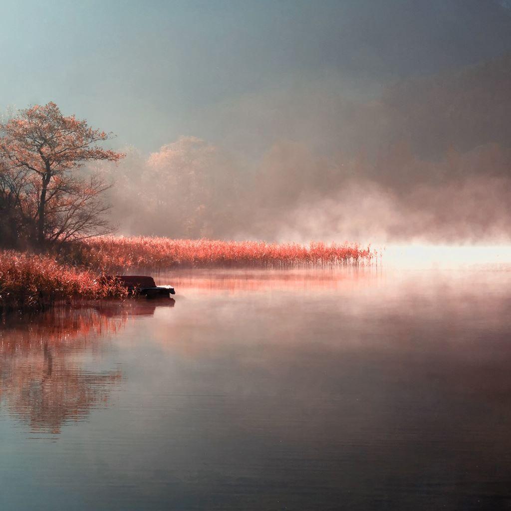 1024x1024 Fog lake iPad Wallpaper Free Download