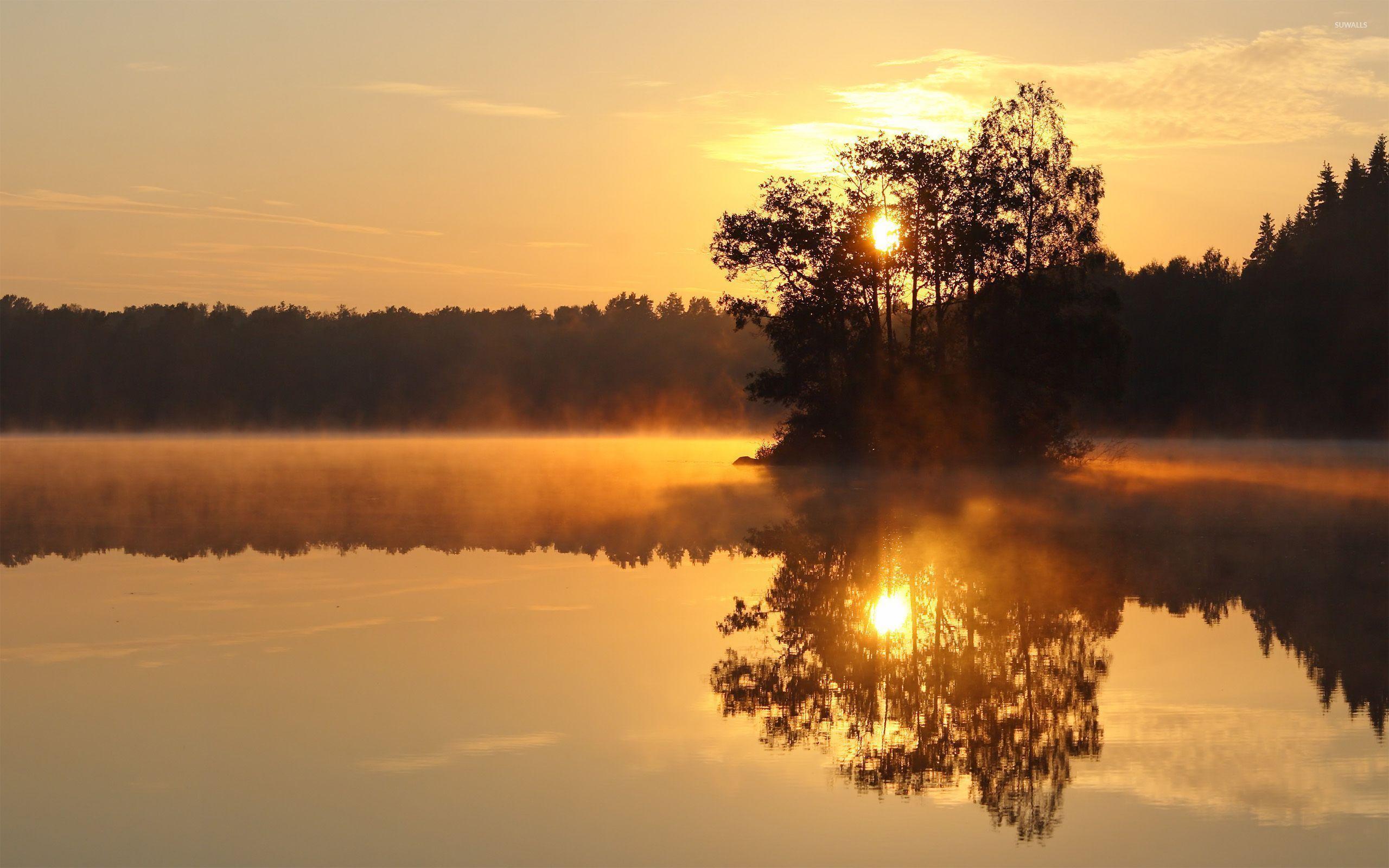 2560x1600 Trees in the foggy lake at sunset wallpaper wallpaper