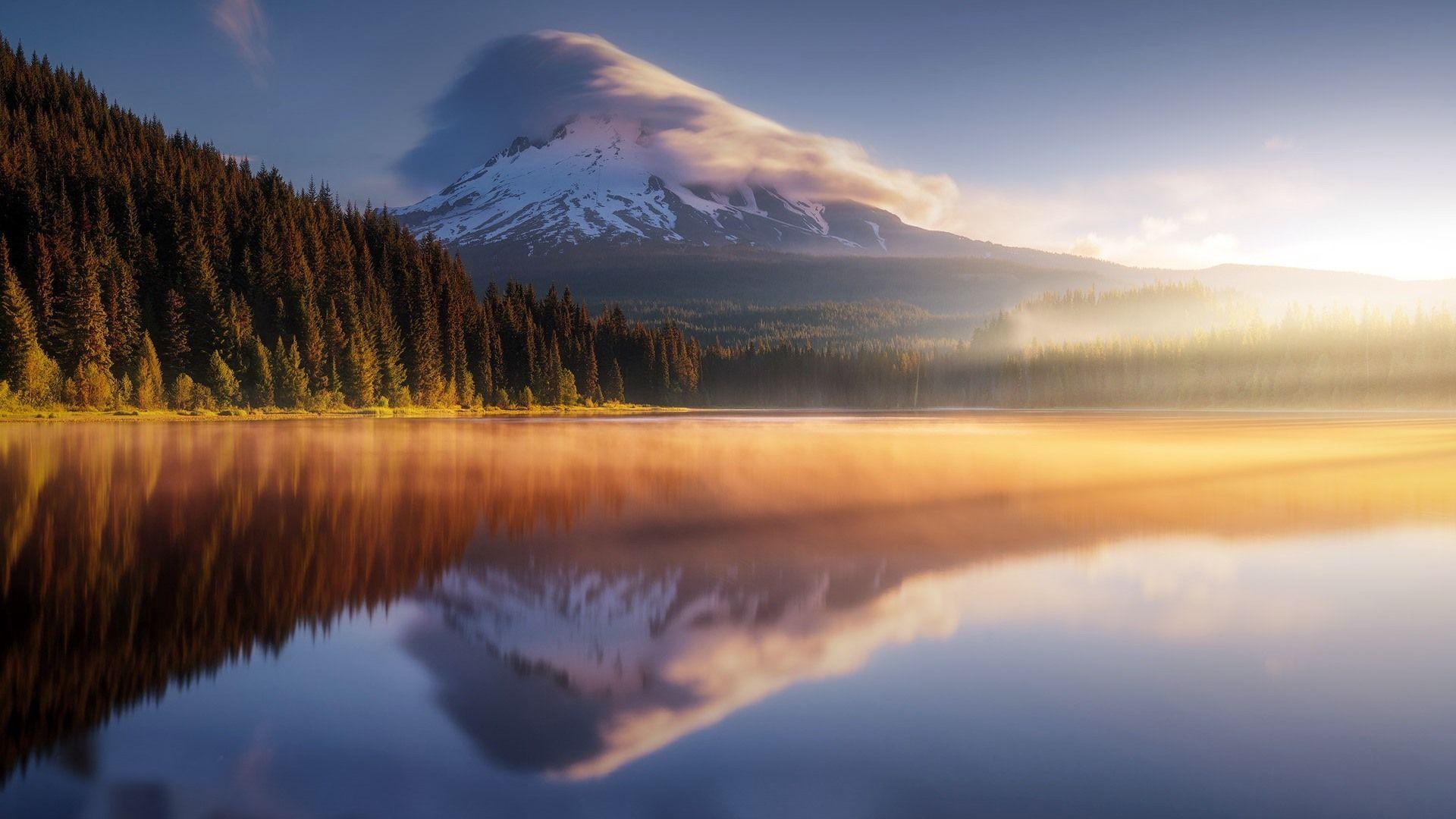 1920x1080 Wallpaper Mountains, forest, fog, lake, water reflection 1920x1200 HD Picture, Image