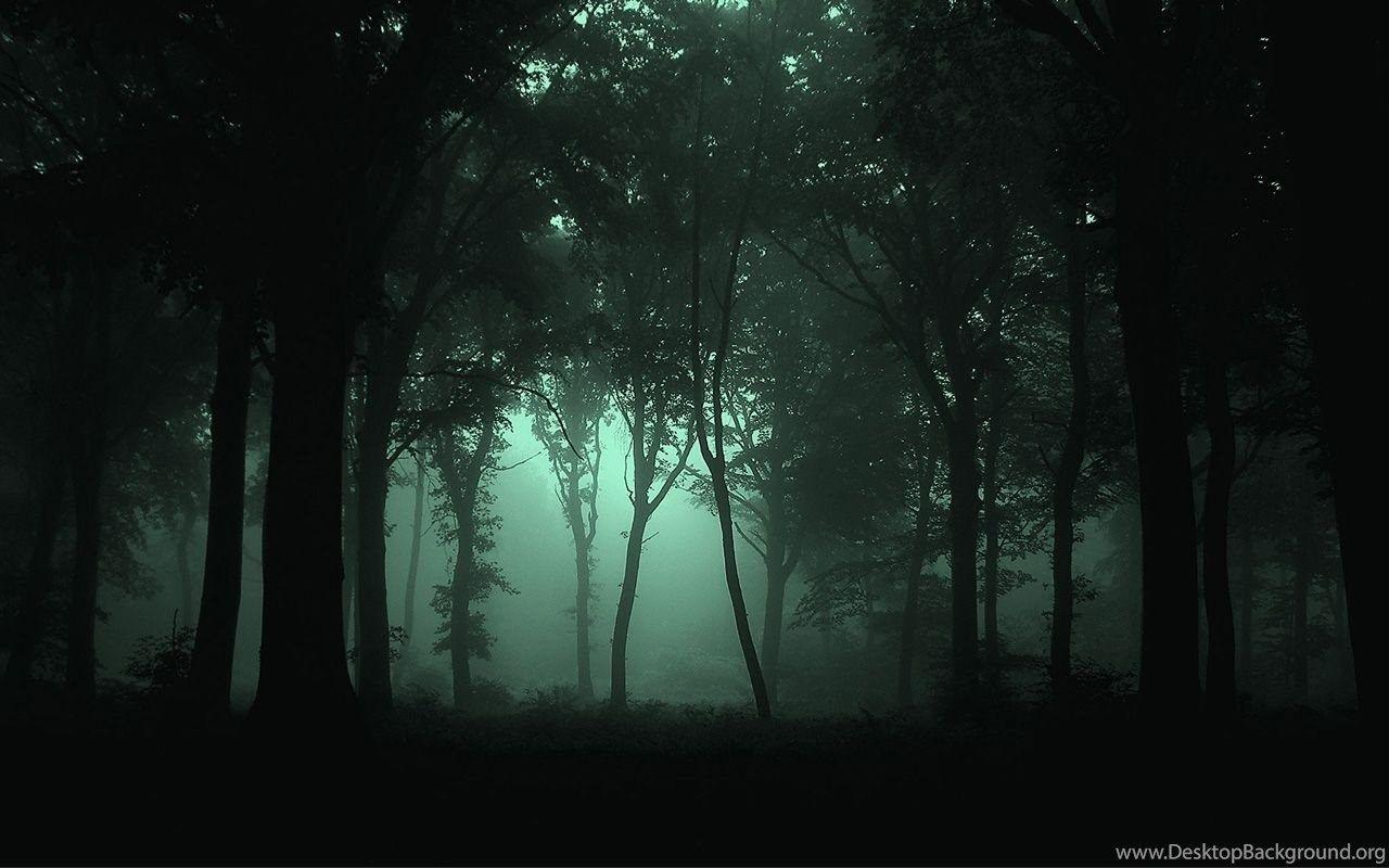 1280x800 Fog Forest Night Wallpaper. Desktop Background